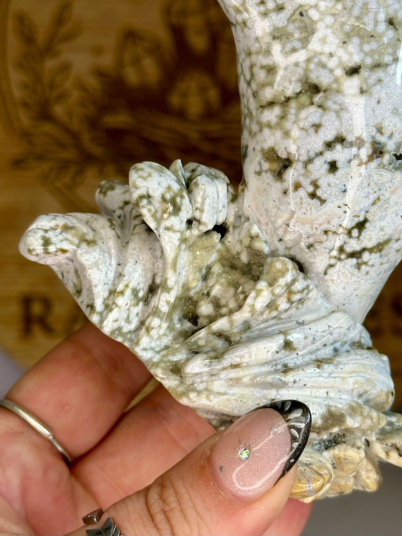 Large Druzy Orbicular Ocean Jasper Dolphin