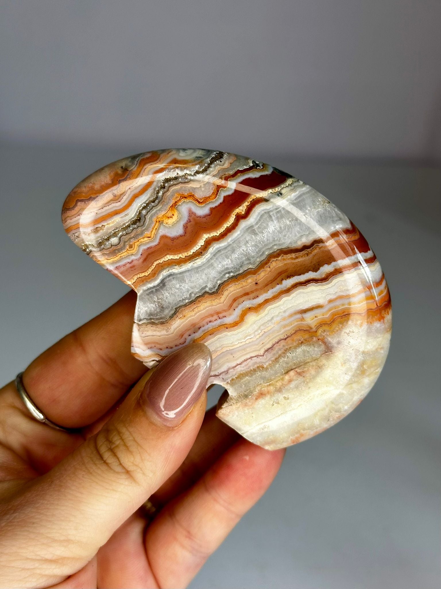 Pink Crazy Lace Agate Zuni Bear #2