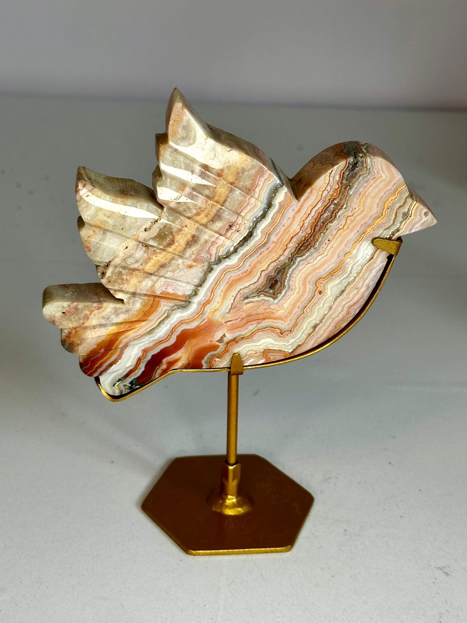 Pink Crazy Lace Agate Dove on Custom Stand