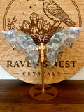 Druzy Pastel Ocean Jasper & Moss Agate Butterfly Wings Display #2
