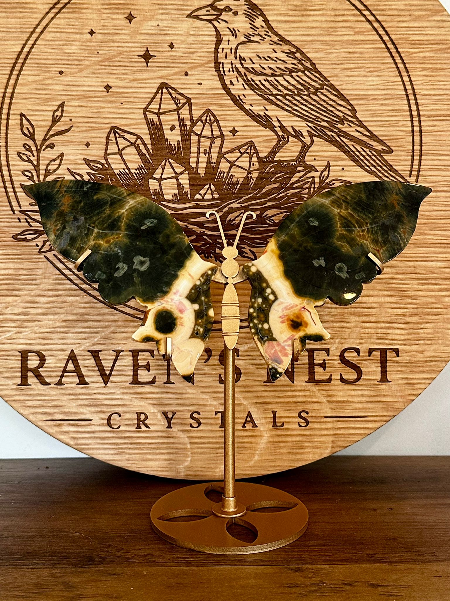 Forest Green Orbicular Ocean Jasper Butterfly Wings on Stand