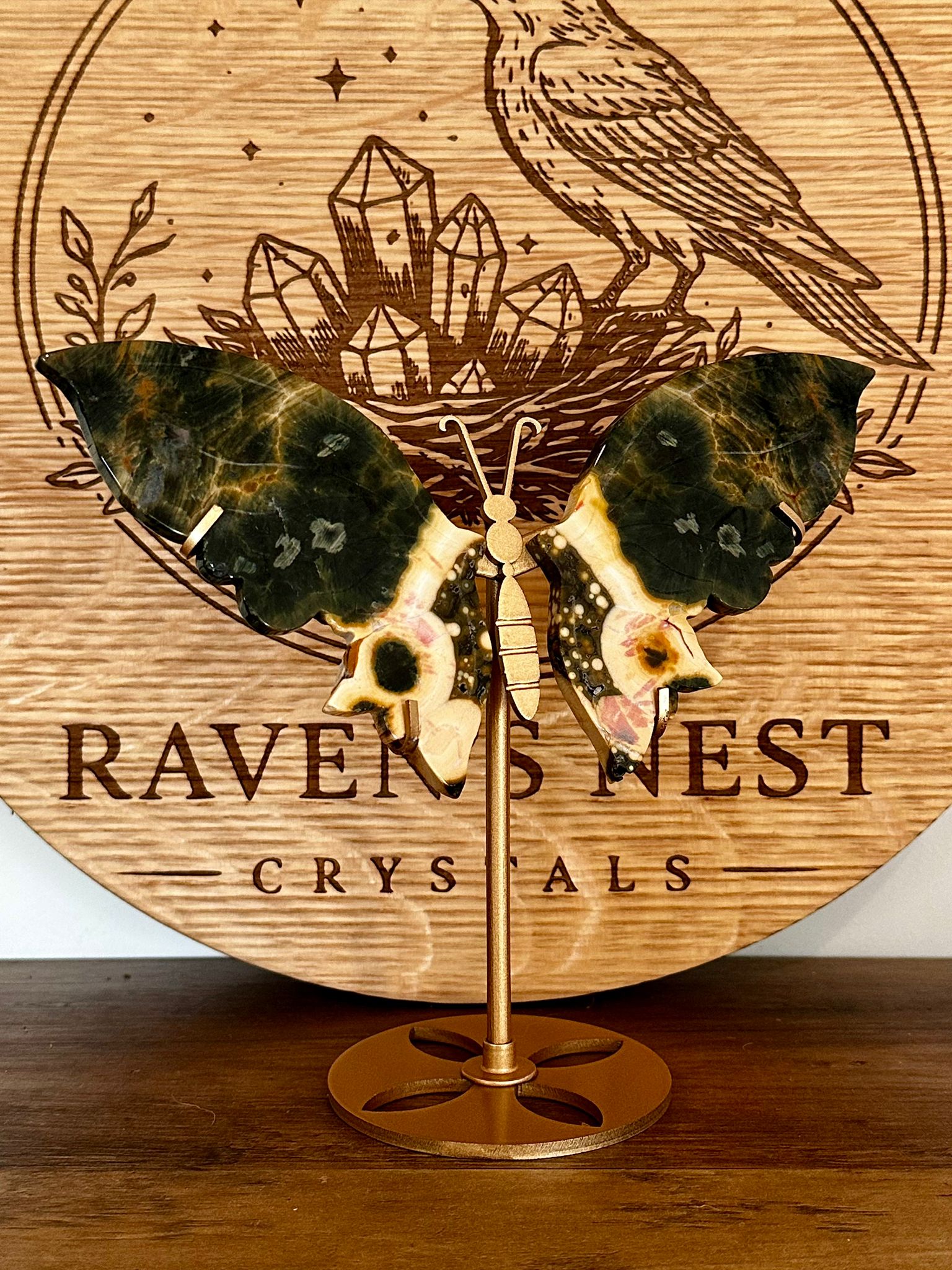 Forest Green Orbicular Ocean Jasper Butterfly Wings on Stand