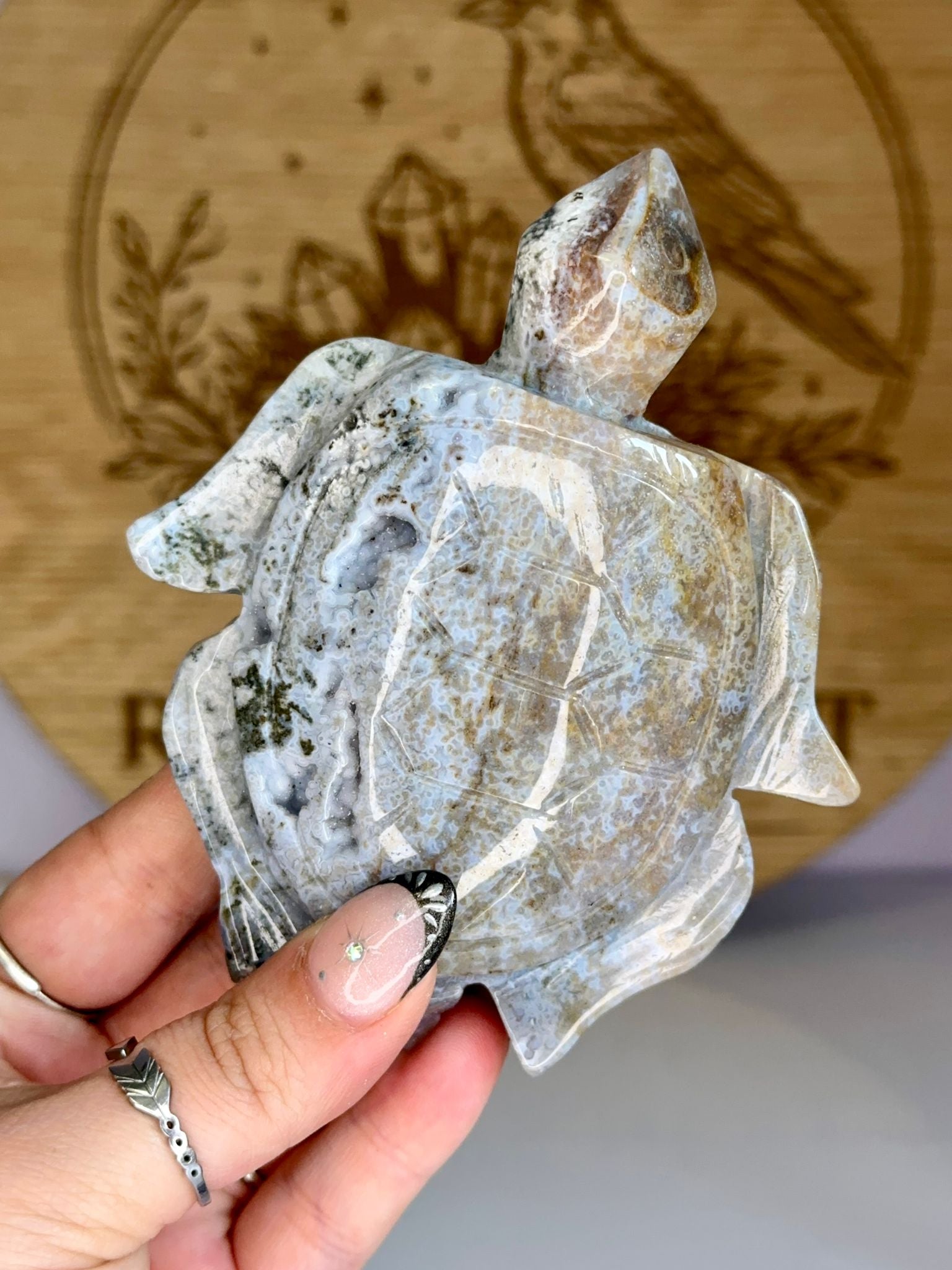 Large Ocean Jasper Turtle Carving