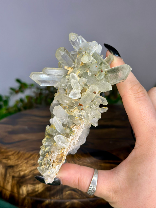 Chlorite Included Quartz Cluster with Anatase & Siderite | No. 2