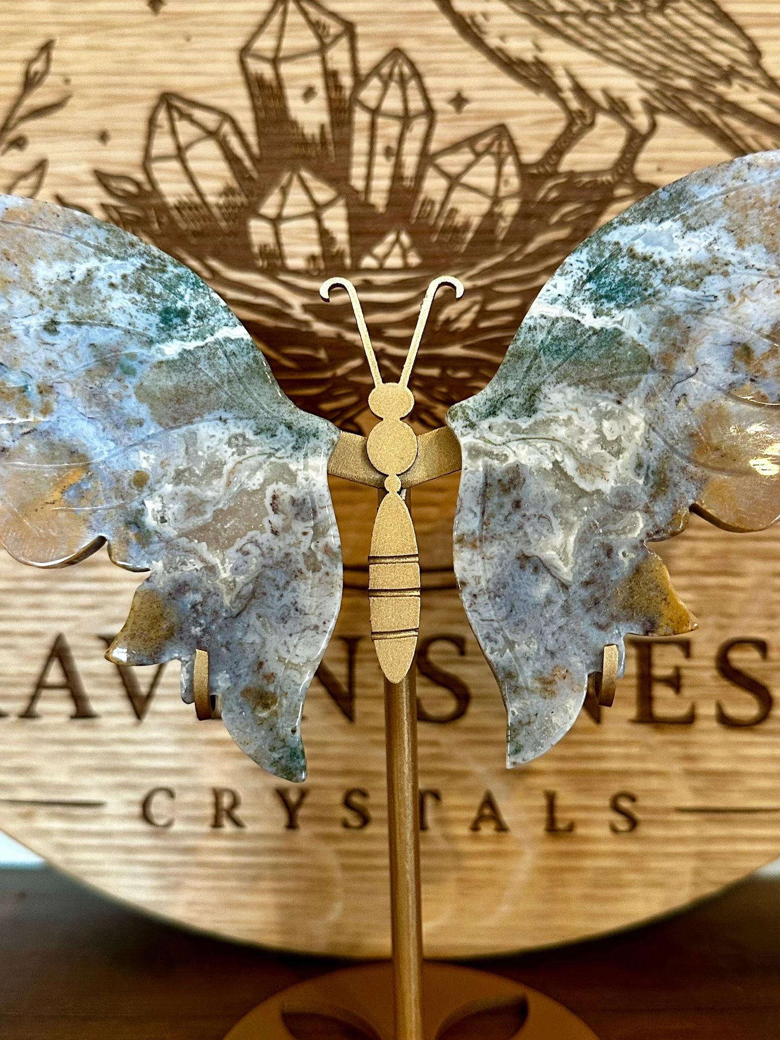 Druzy Pastel Ocean Jasper & Moss Agate Butterfly Wings Display #2
