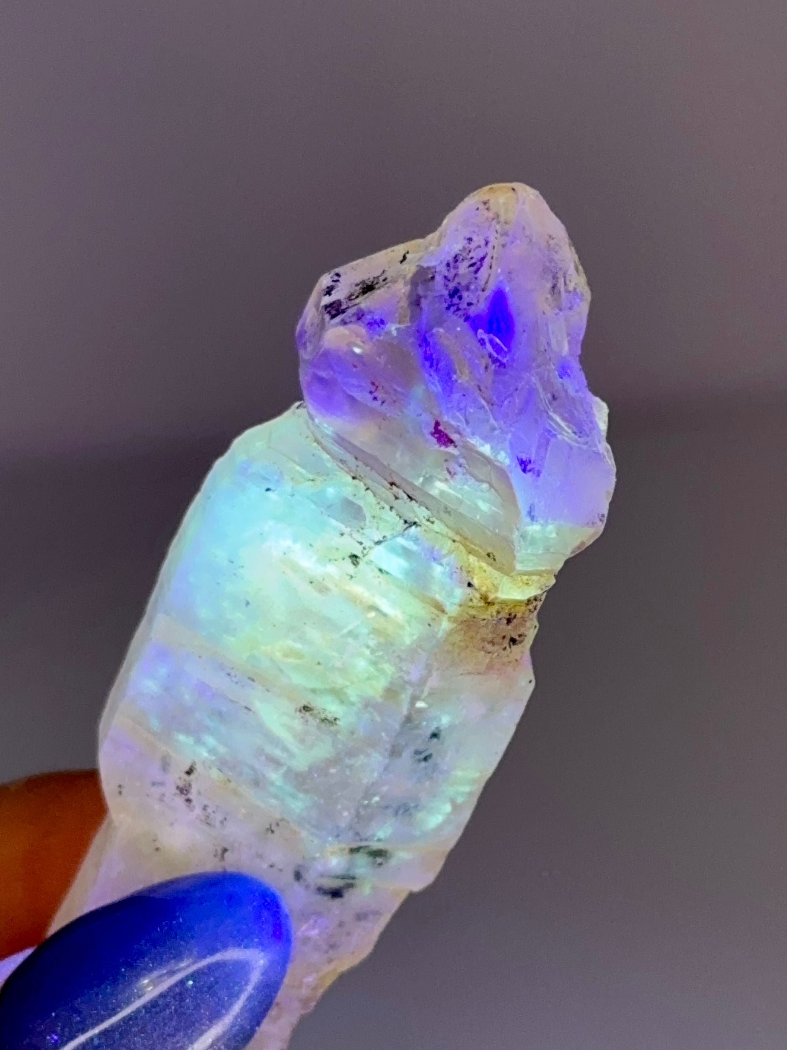 Large Petroleum Quartz Sceptre