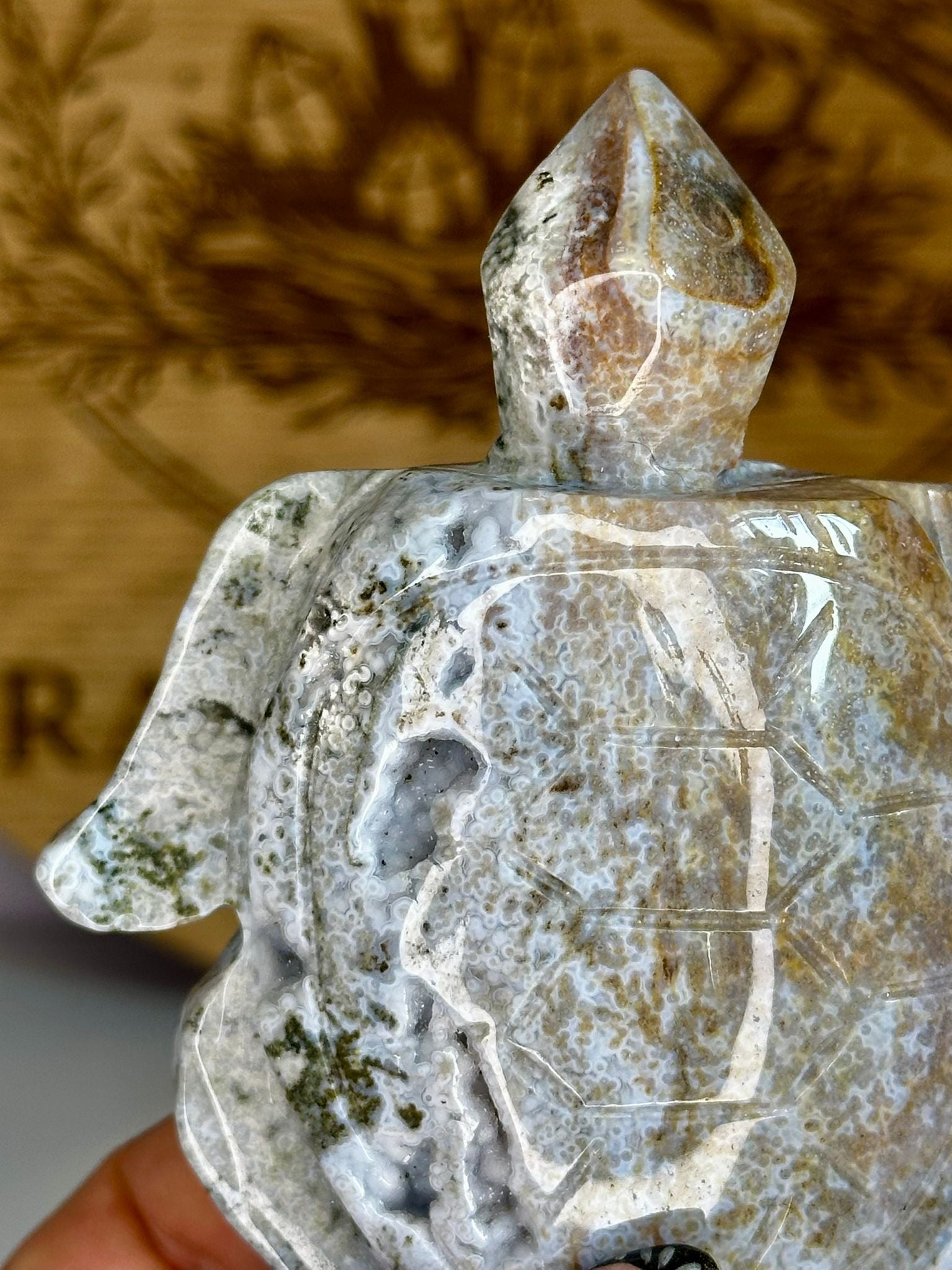 Large Ocean Jasper Turtle Carving