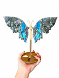 High Flash Labradorite Butterfly Wings on Stand #1
