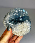 Large Open Celestite Freeform