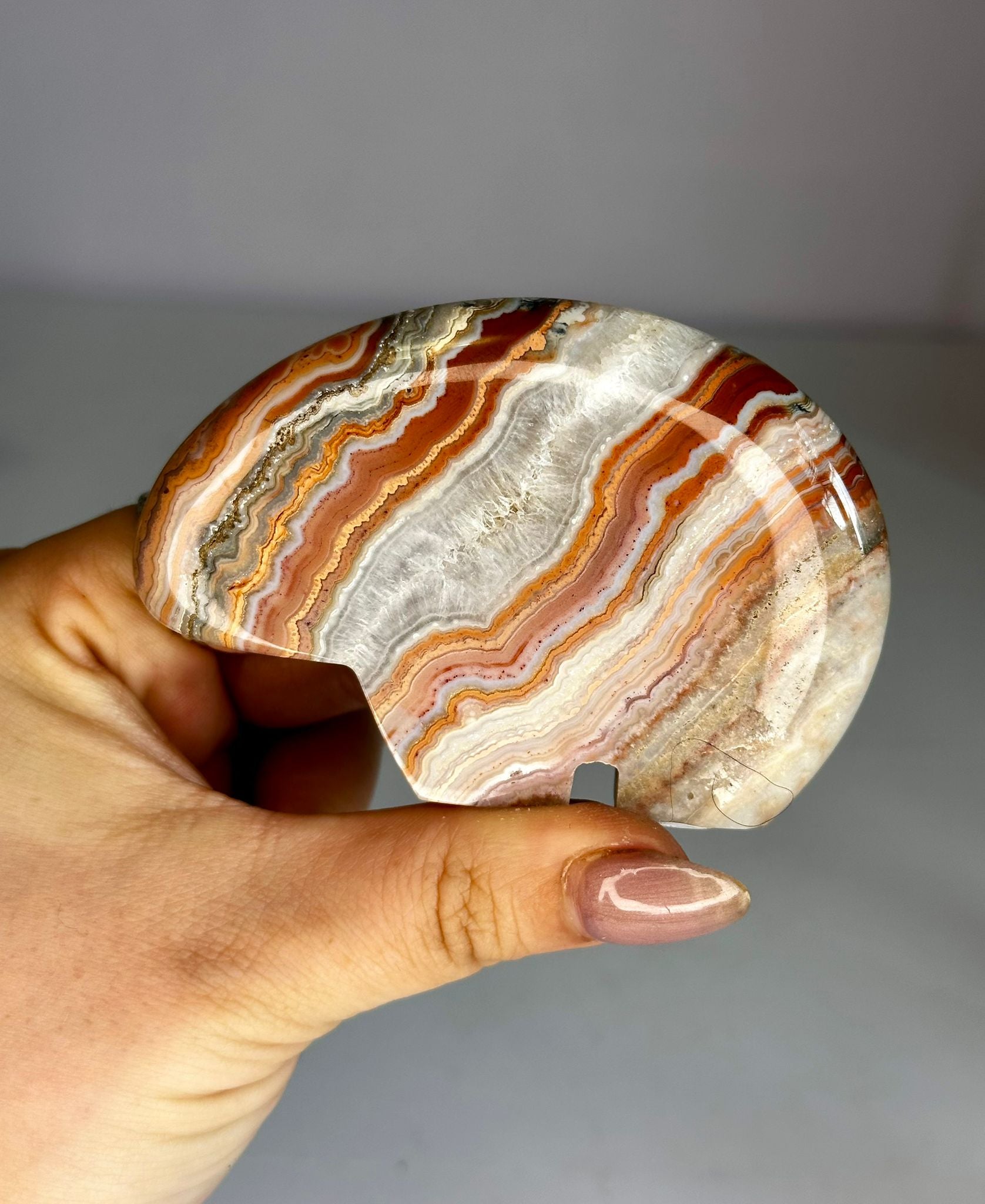 Pink Crazy Lace Agate Zuni Bear