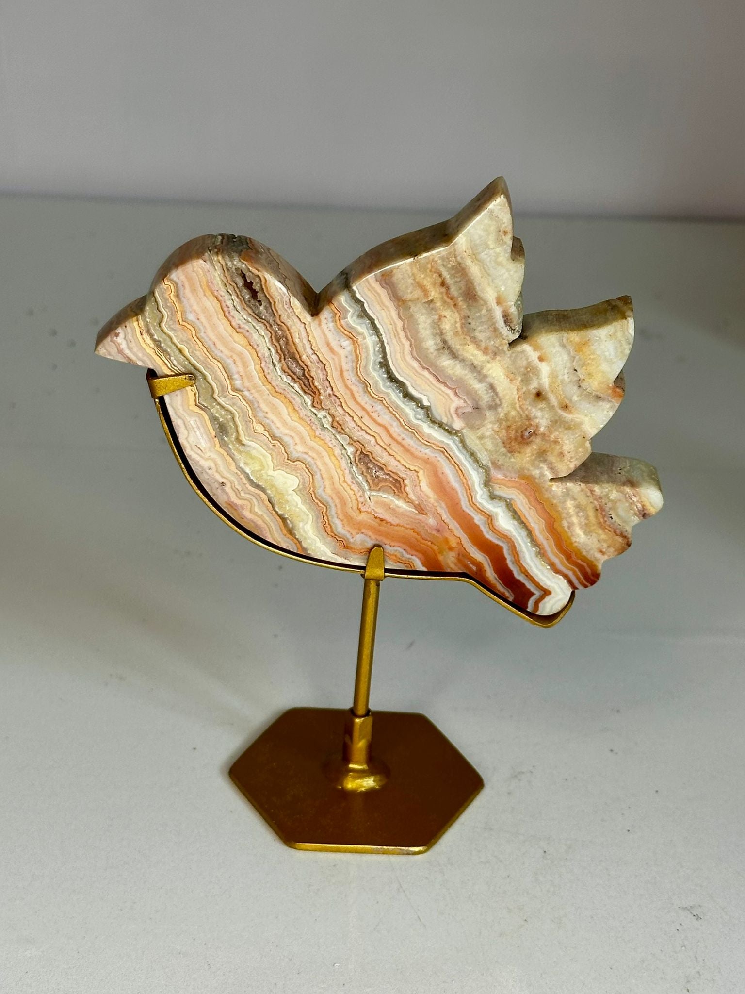 Pink Crazy Lace Agate Dove on Custom Stand