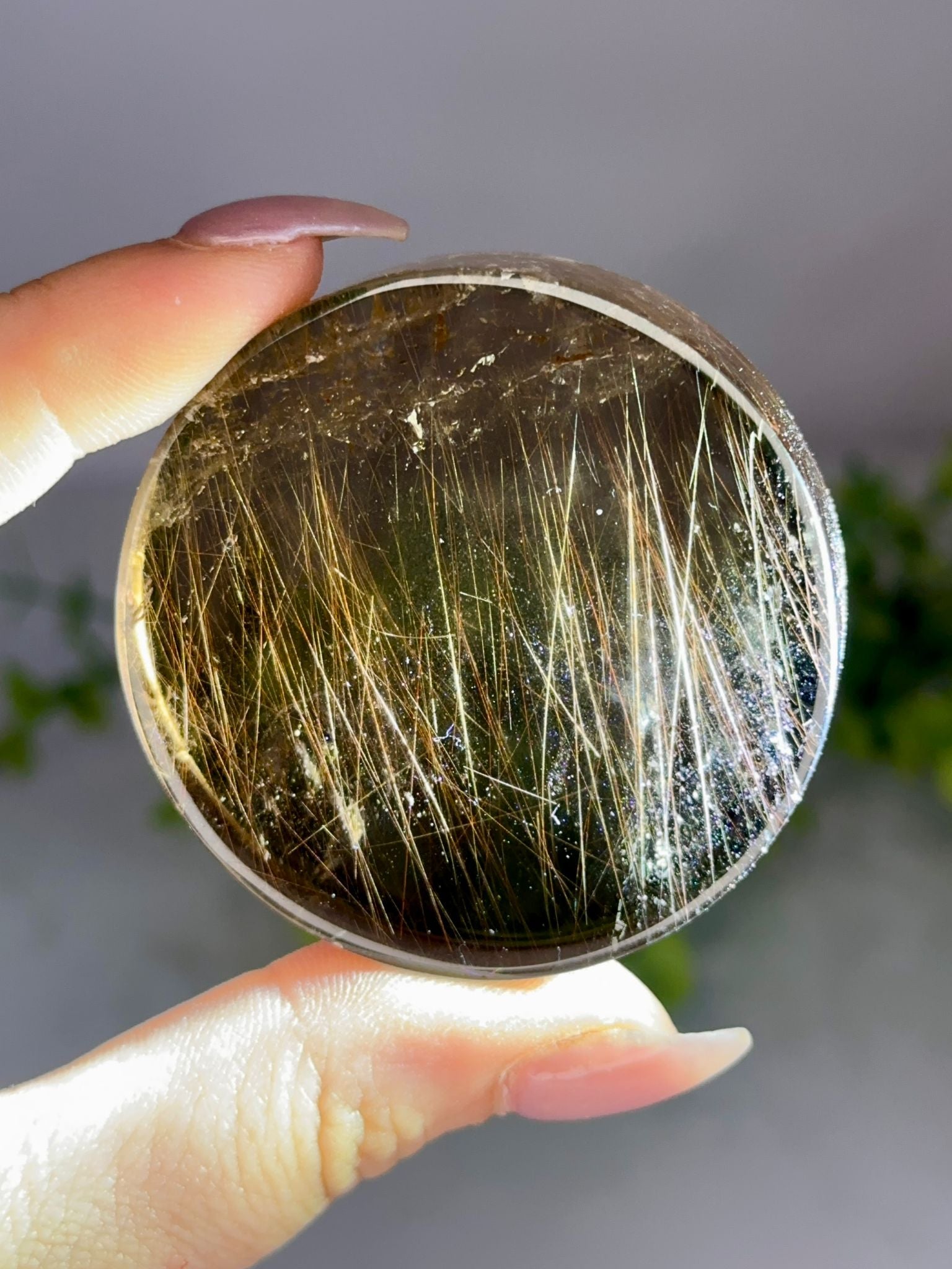 Collector’s Copper & Gold Rutile in Smoky Quartz