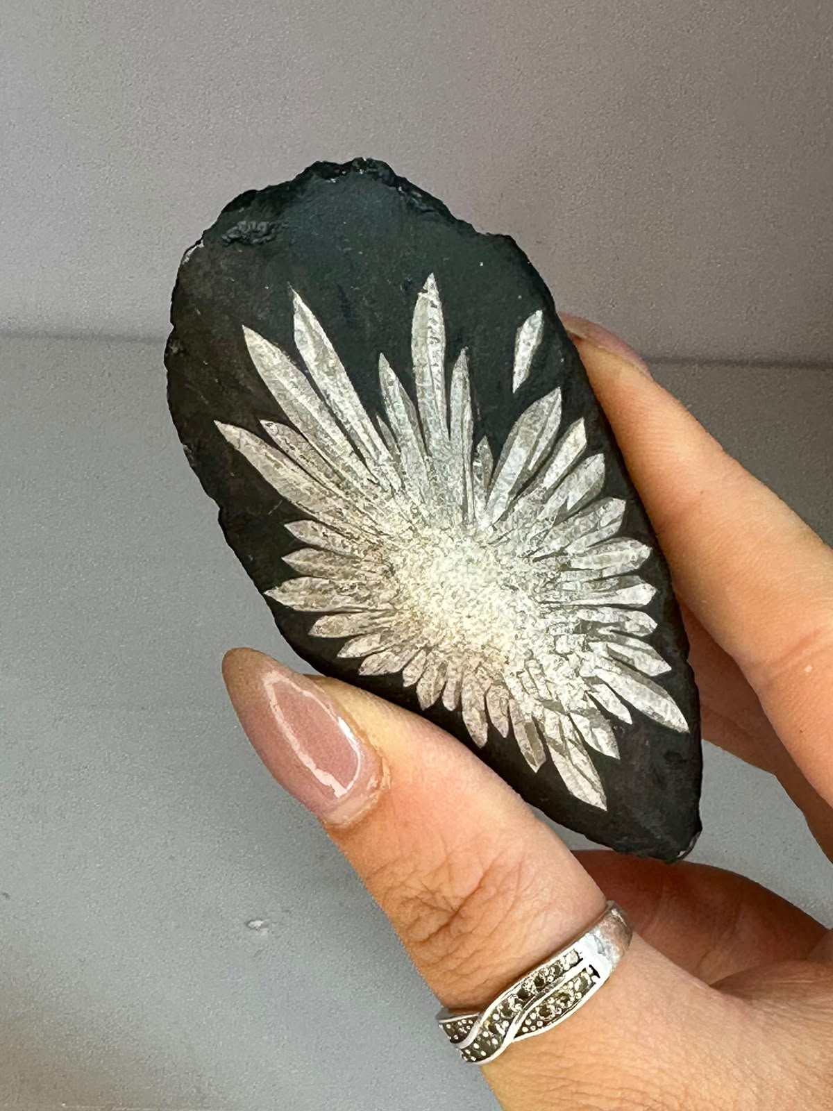 Natural Chrysanthemum Stone Specimen