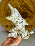 Large Druzy Orbicular Ocean Jasper Dolphin