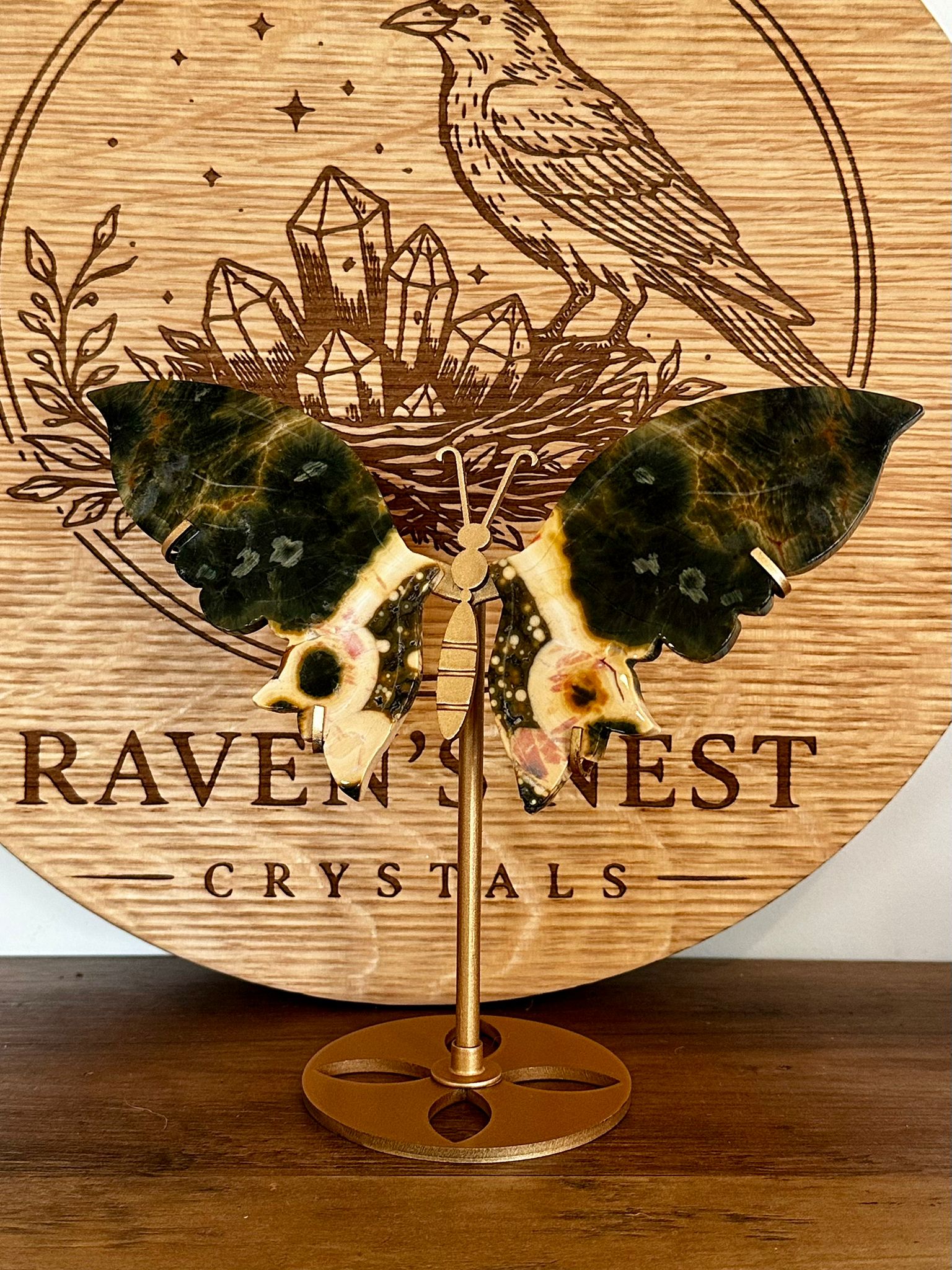 Forest Green Orbicular Ocean Jasper Butterfly Wings on Stand