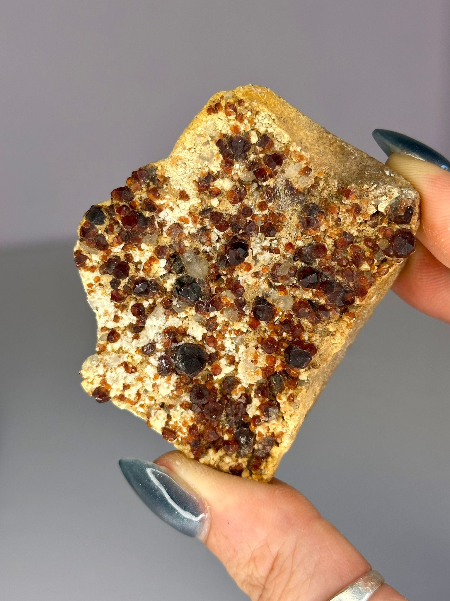 Garnet & Smoky Quartz Cluster