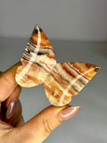Crazy Lace Agate Butterfly Carving