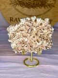 500g Pink Dragon Scale Calcite with Pyrite specimen from Jiangxi China on display stand