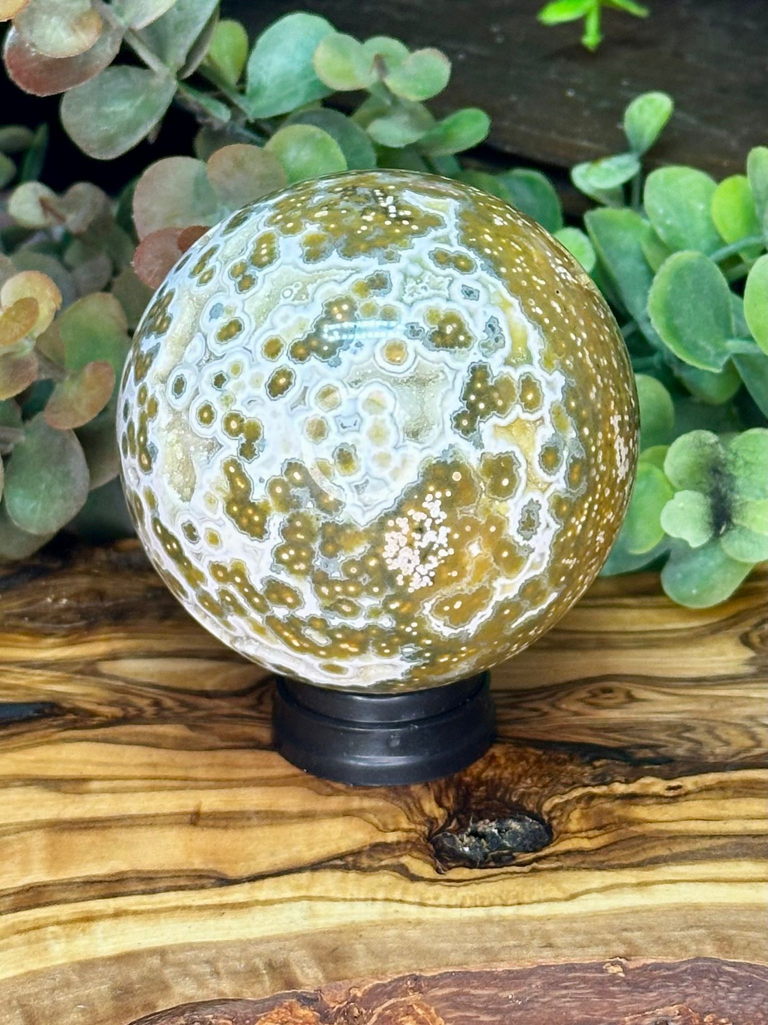 Collector Grade Eighth Vein Ocean Jasper Sphere #2