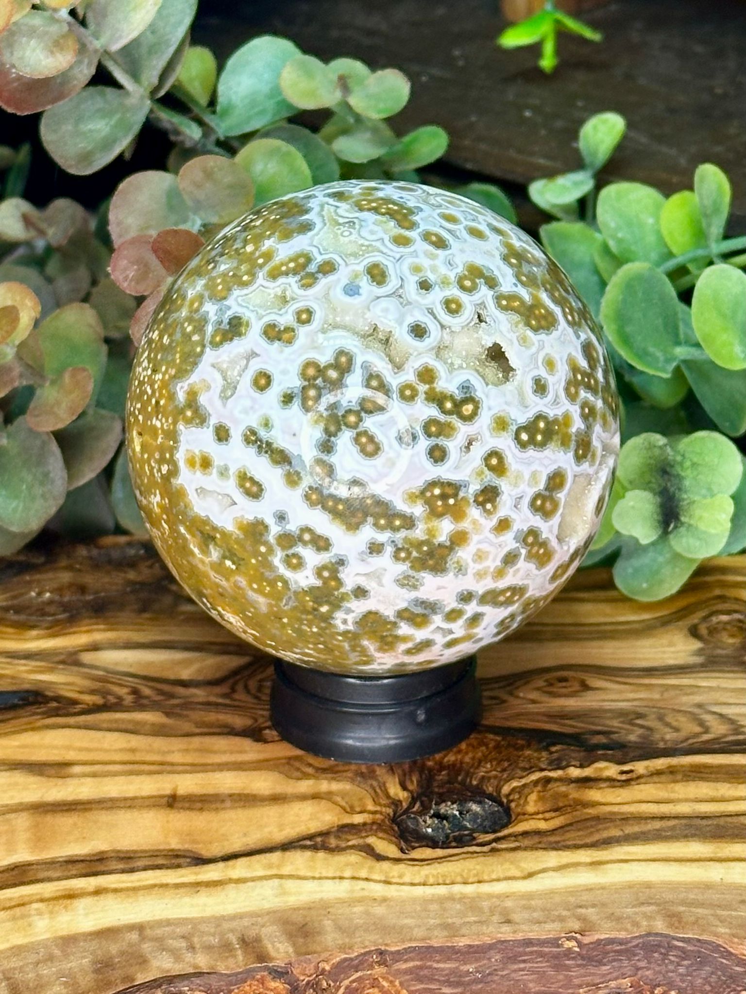 Collector Grade Eighth Vein Ocean Jasper Sphere #2