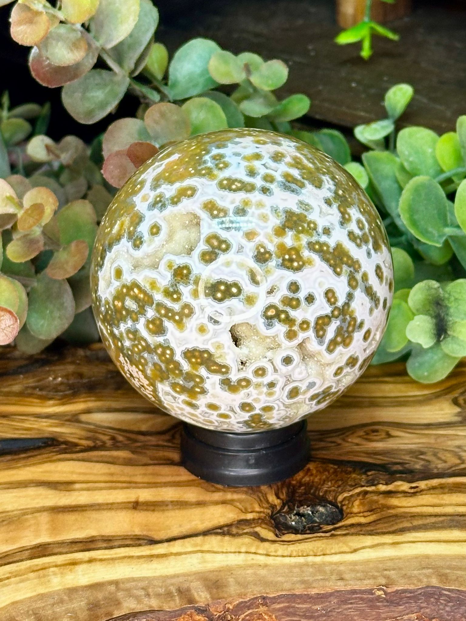 Collector Grade Eighth Vein Ocean Jasper Sphere #2