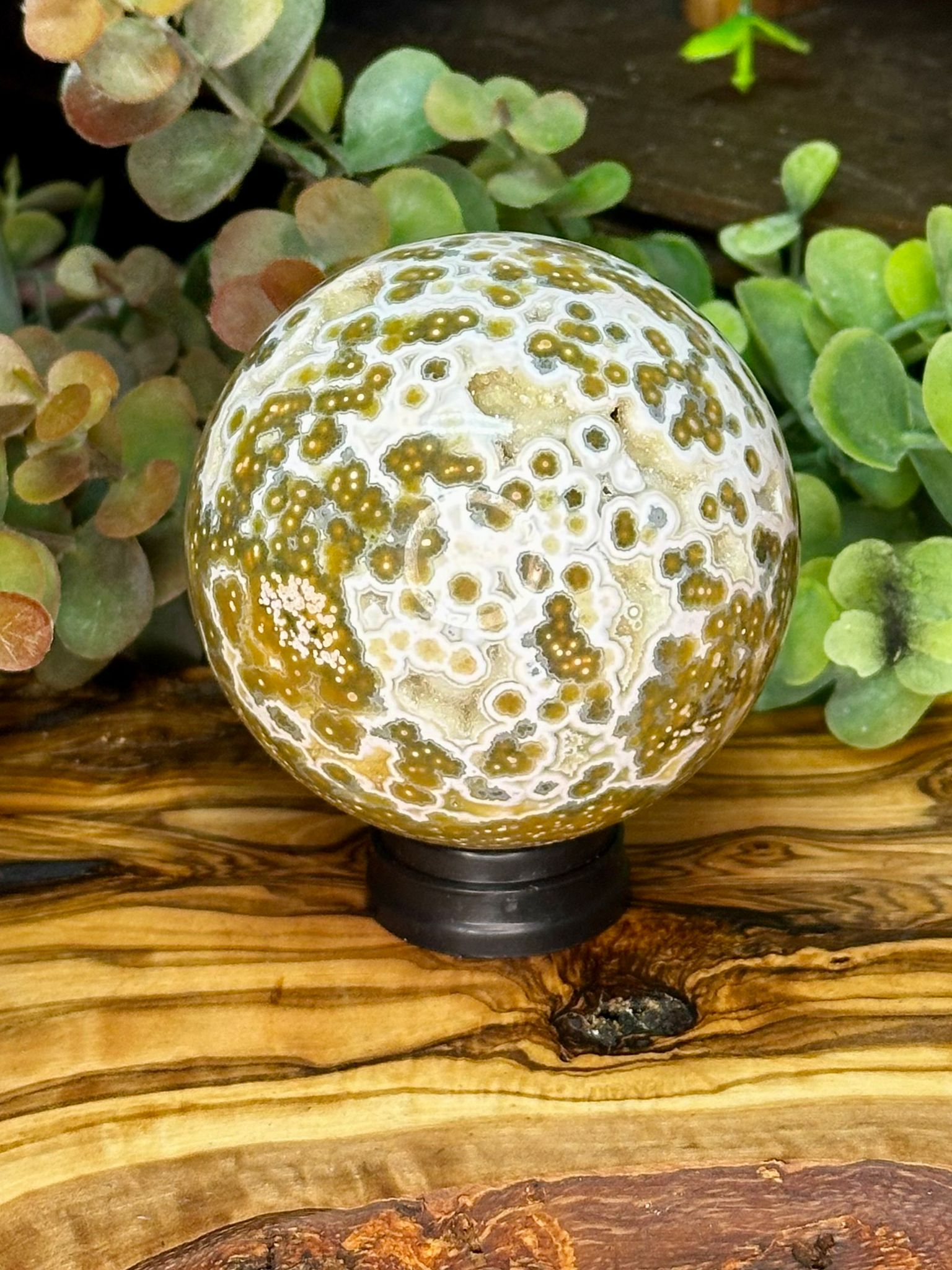 Collector Grade Eighth Vein Ocean Jasper Sphere #2