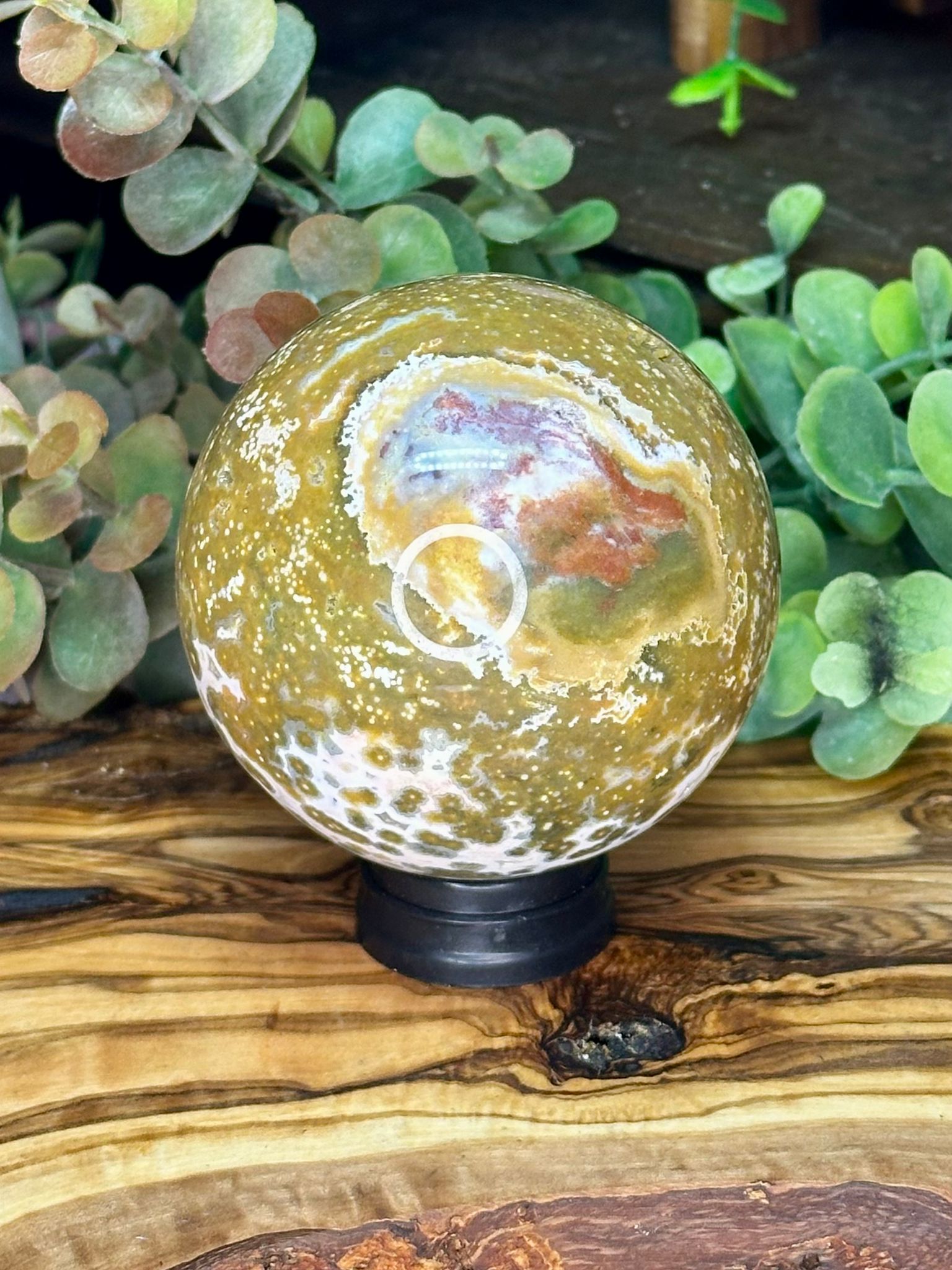 Collector Grade Eighth Vein Ocean Jasper Sphere #2