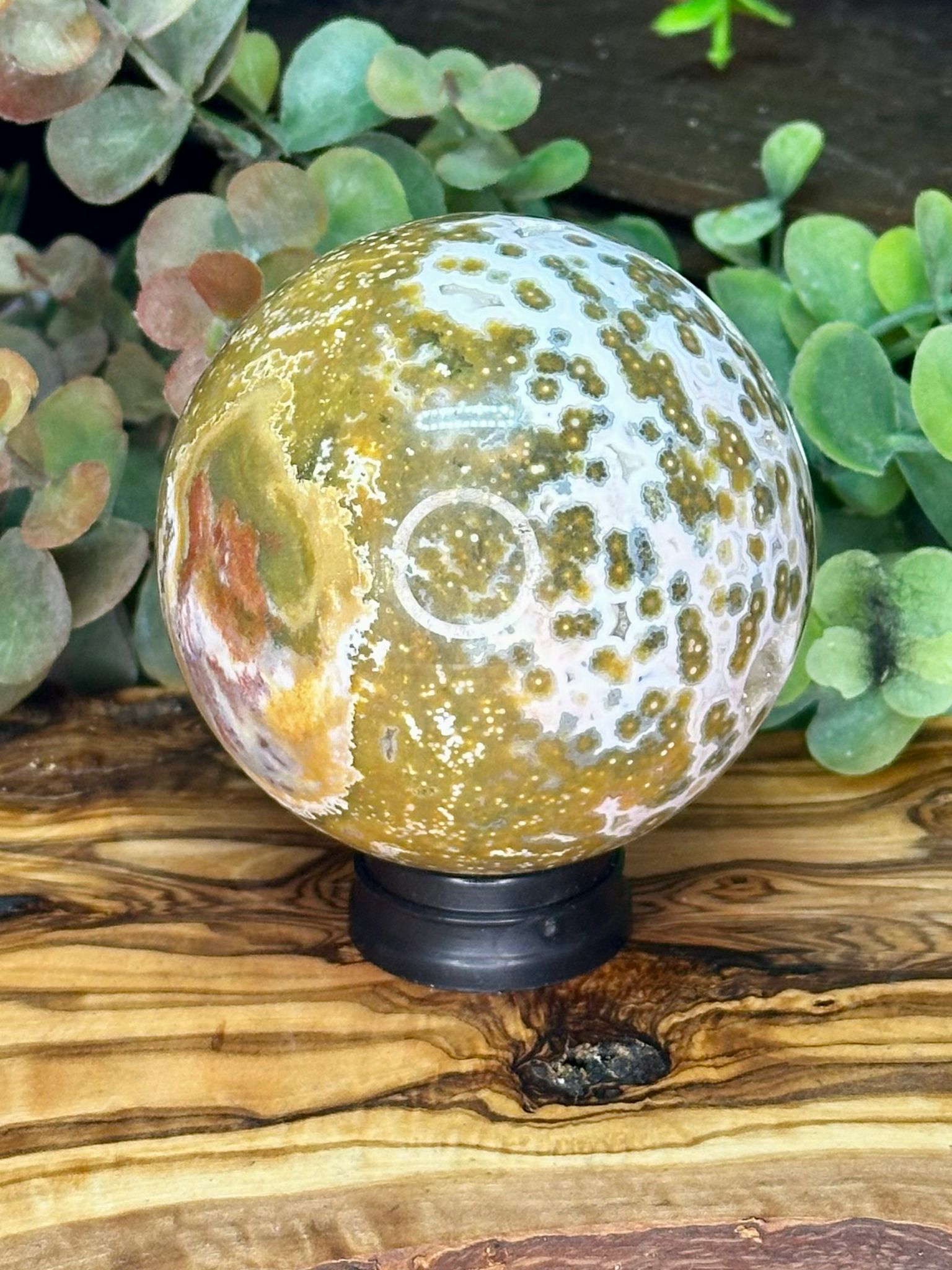 Collector Grade Eighth Vein Ocean Jasper Sphere #2