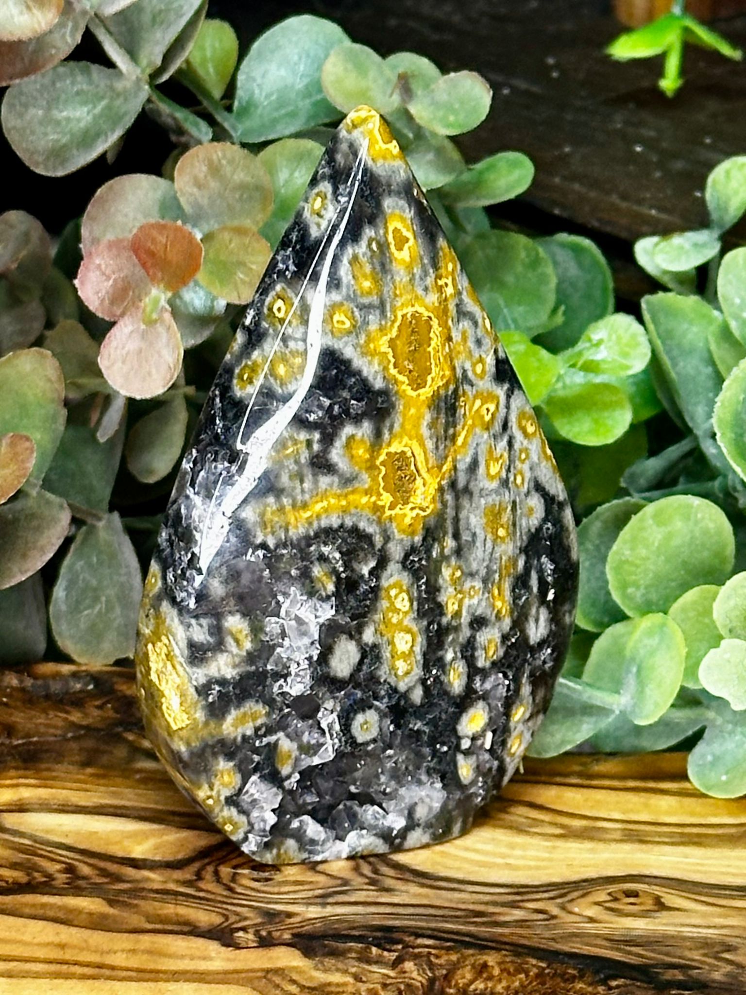 Black Ocean Jasper Druzy Teardrop
