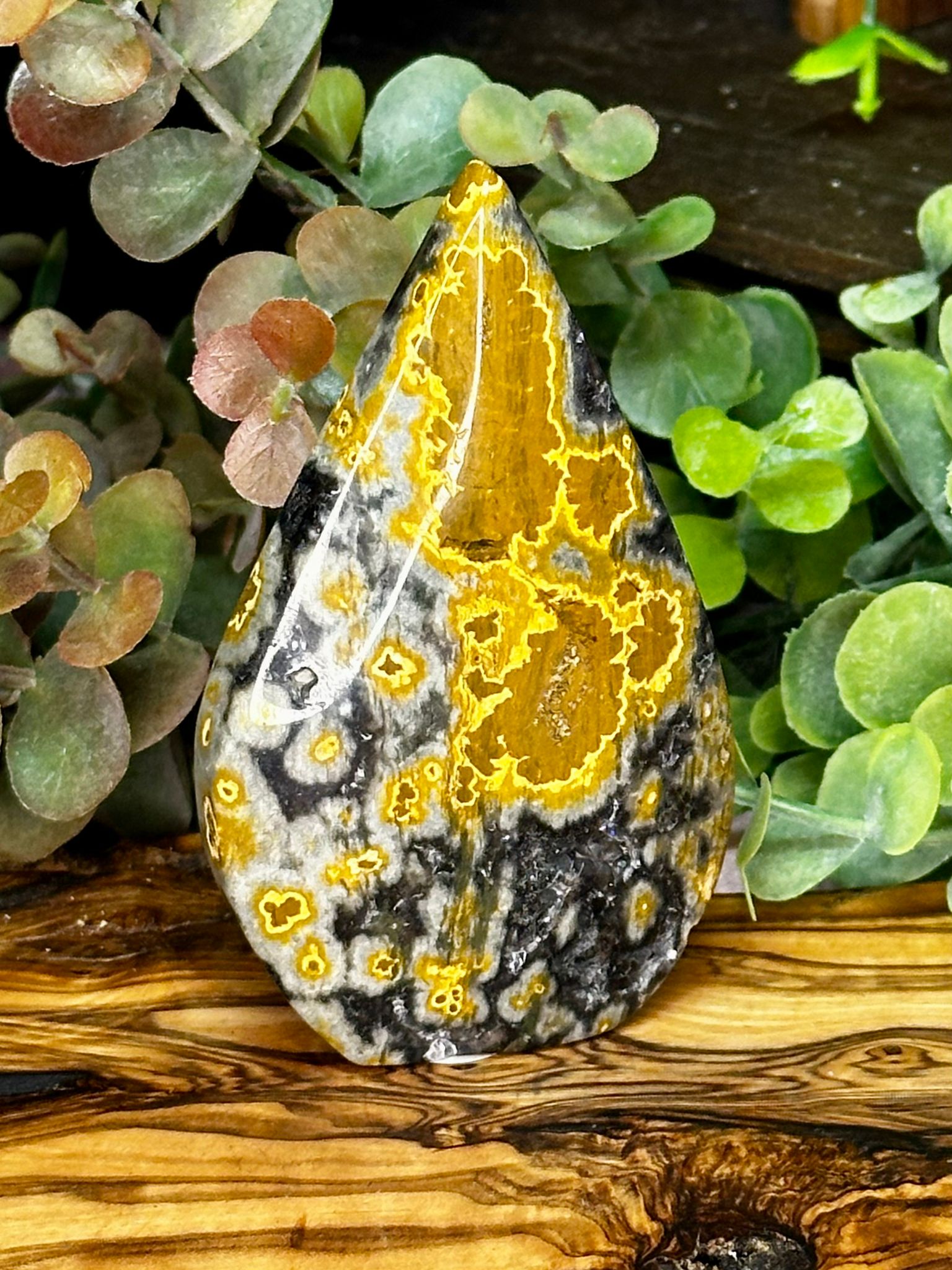 Black Ocean Jasper Druzy Teardrop