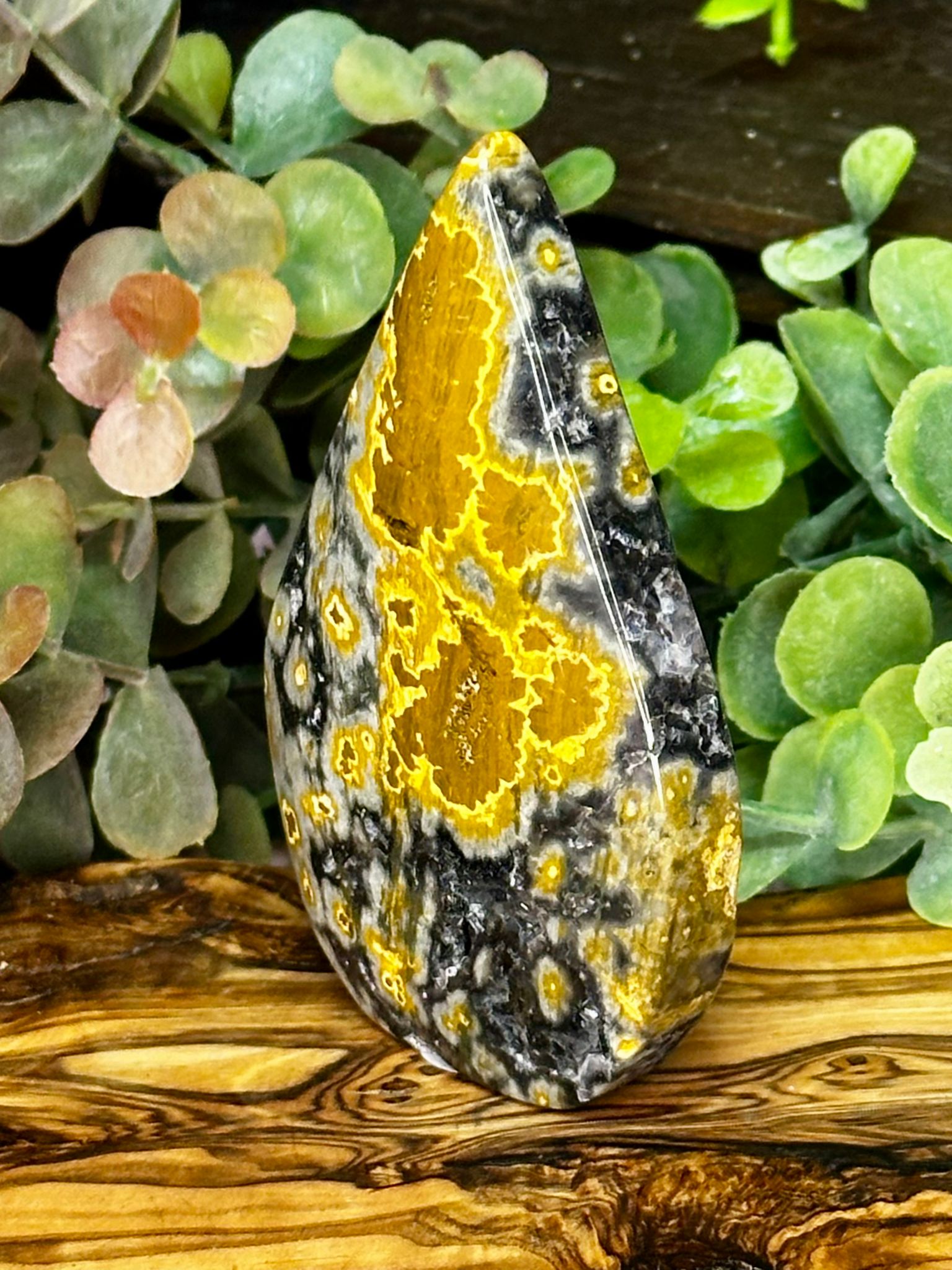 Black Ocean Jasper Druzy Teardrop