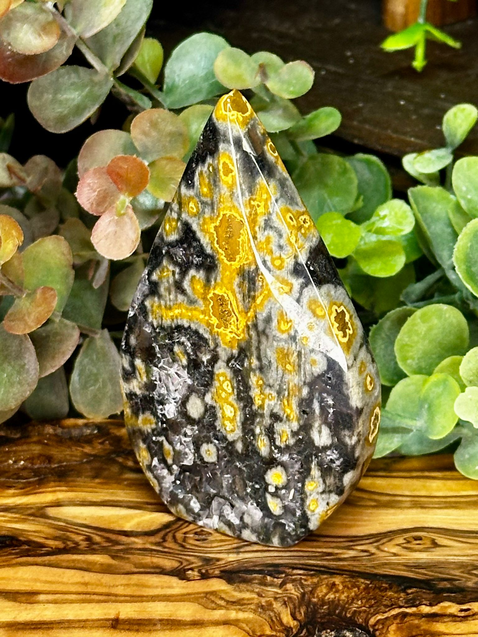 Black Ocean Jasper Druzy Teardrop