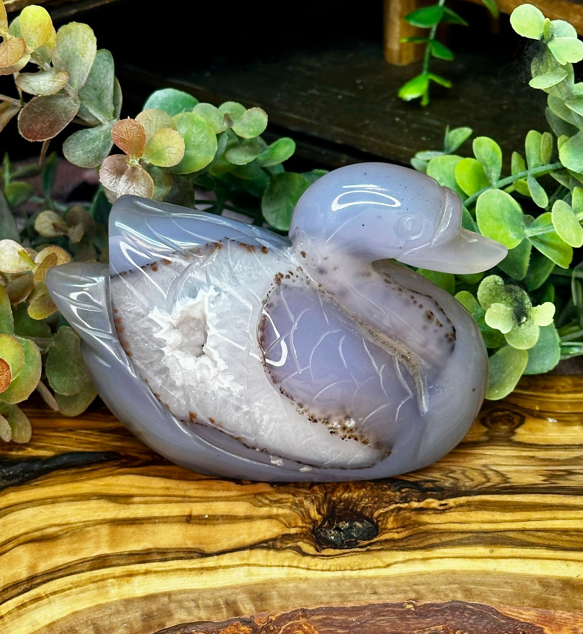 Druzy Dendritic Agate Swan Carving
