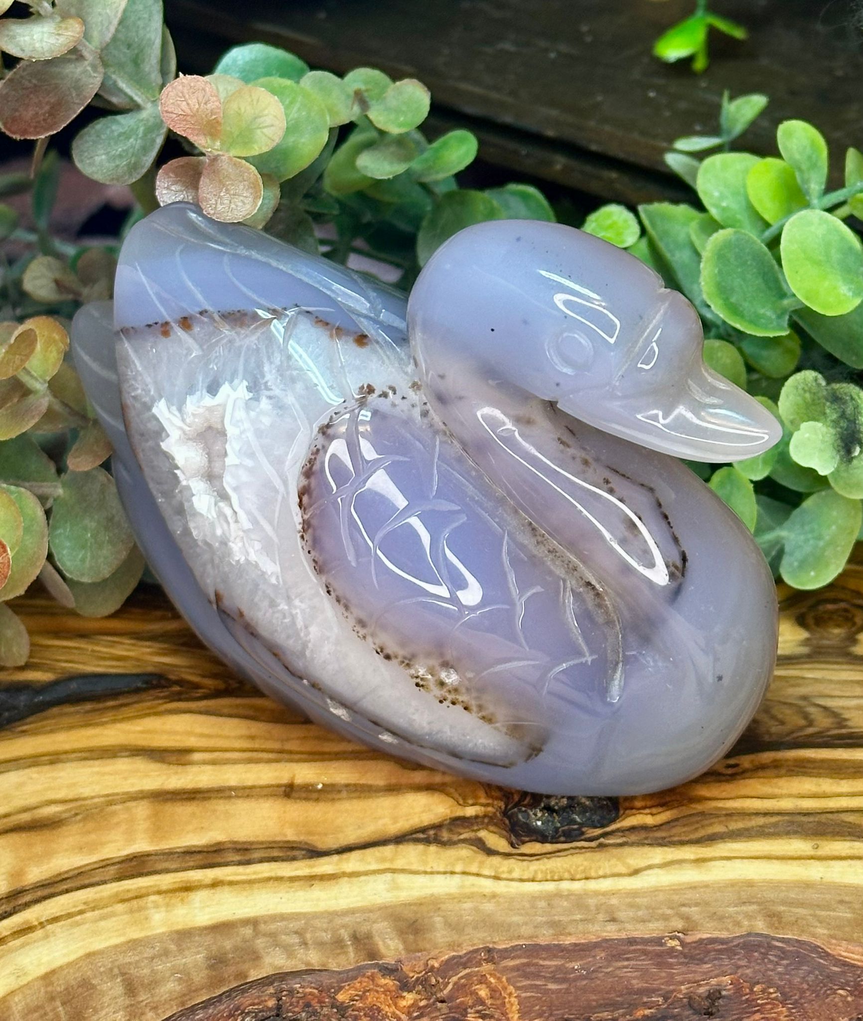 Druzy Dendritic Agate Swan Carving