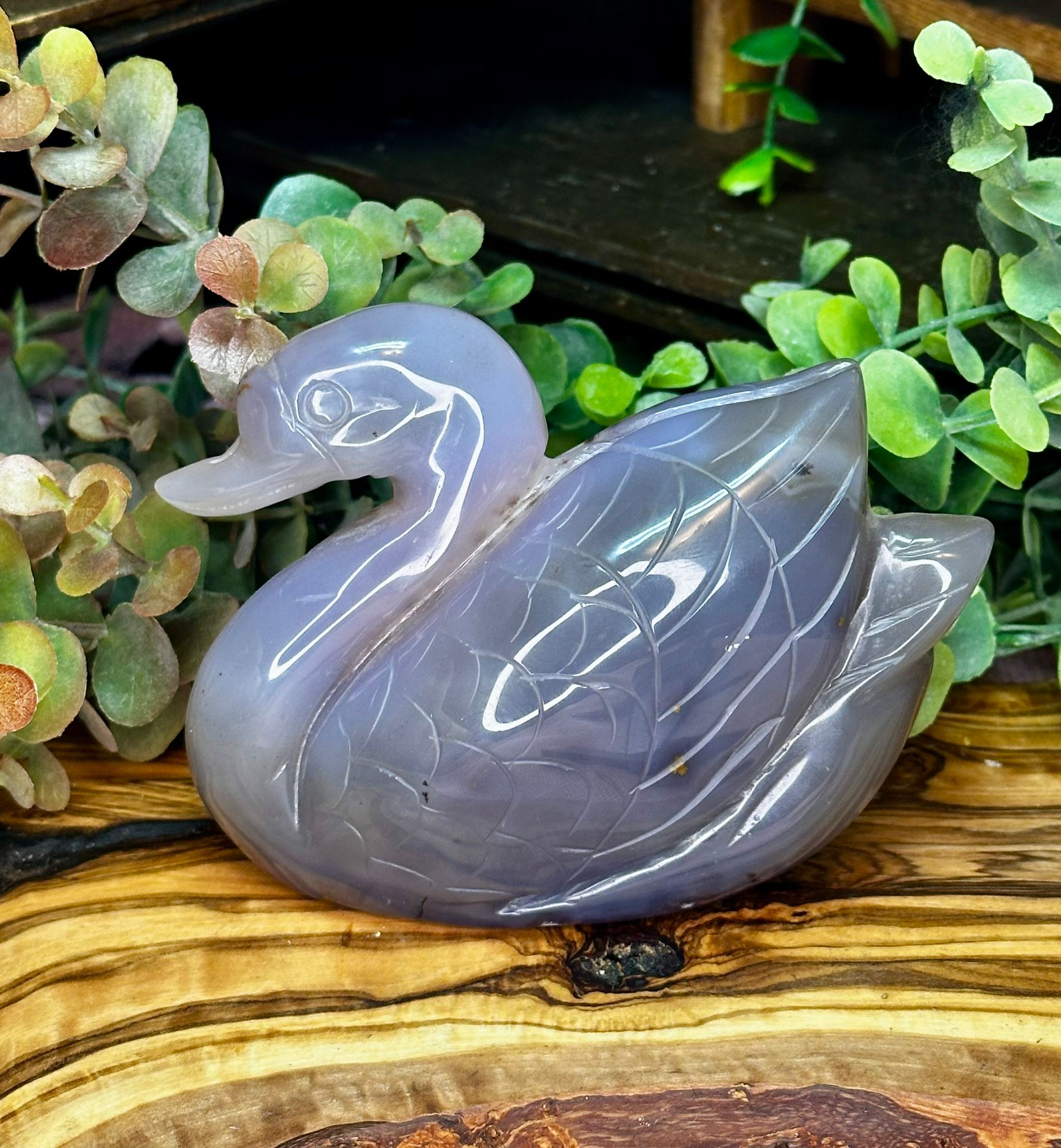 Druzy Dendritic Agate Swan Carving