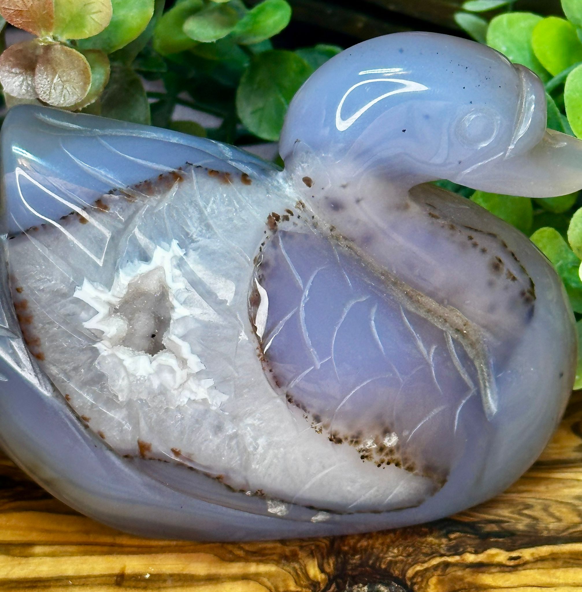 Druzy Dendritic Agate Swan Carving