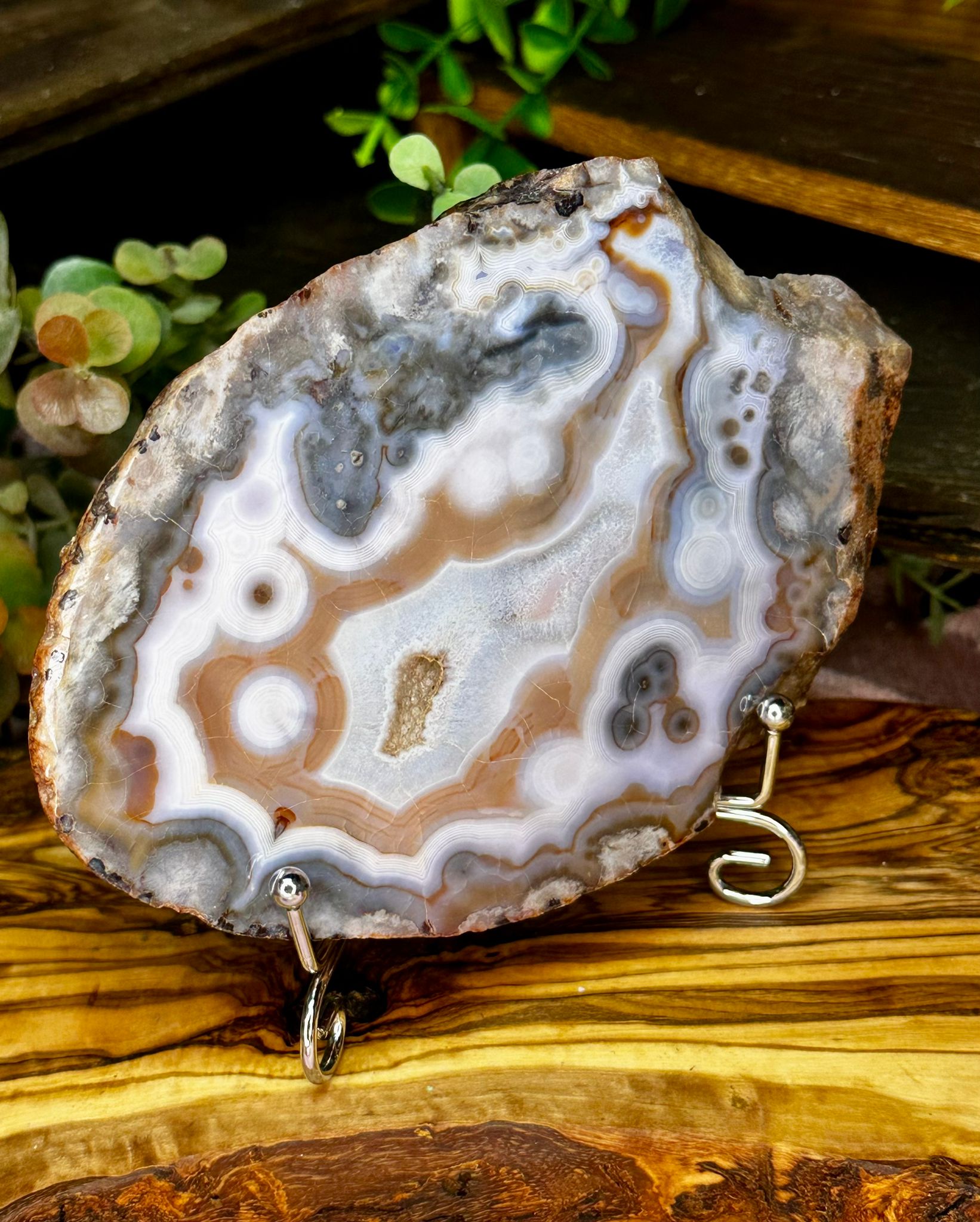 Large Blue Flower Agate Slab