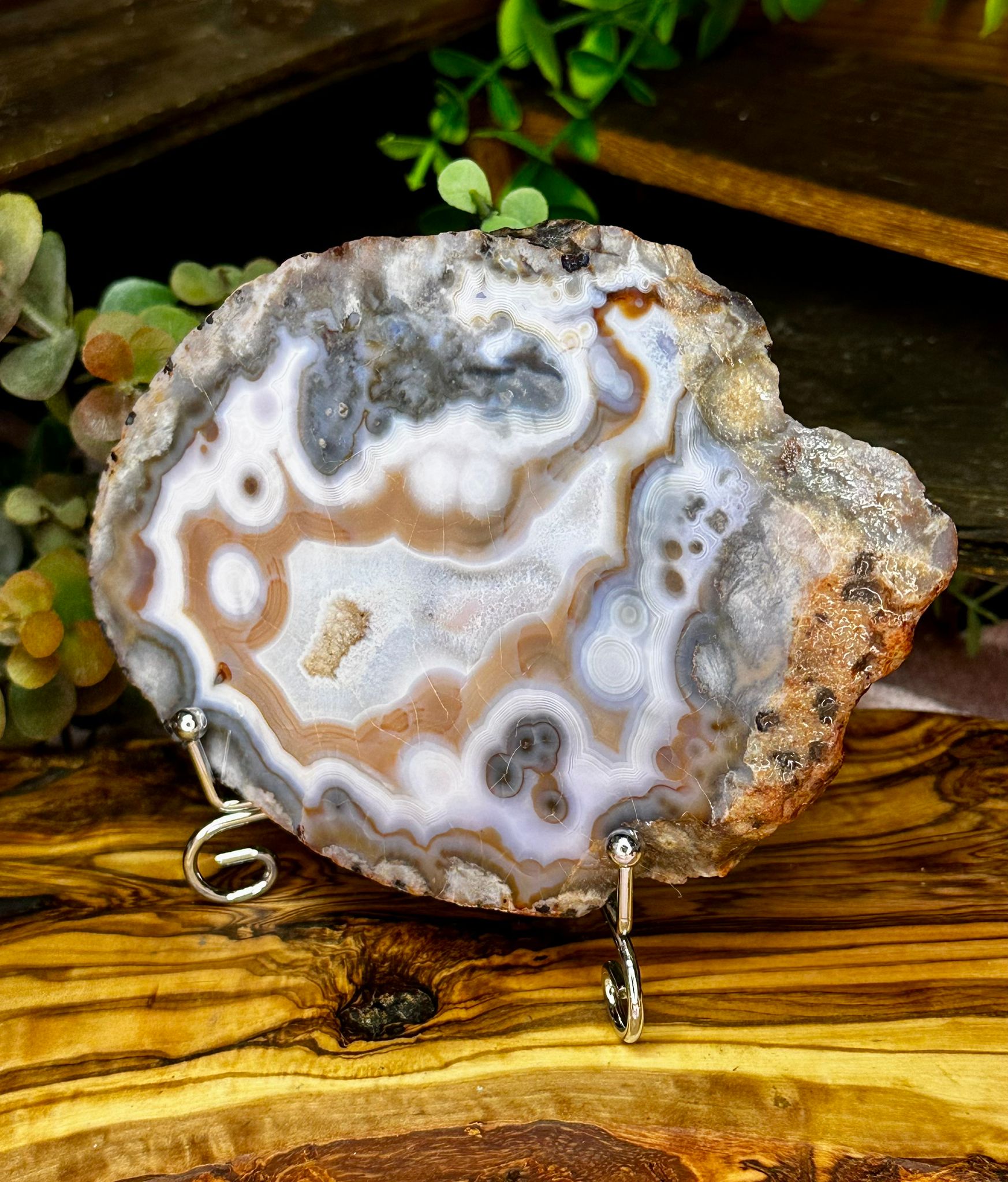 Large Blue Flower Agate Slab