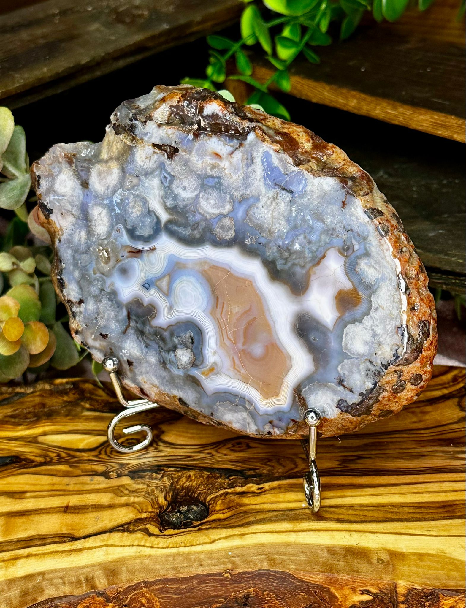Large Blue Flower Agate Slab