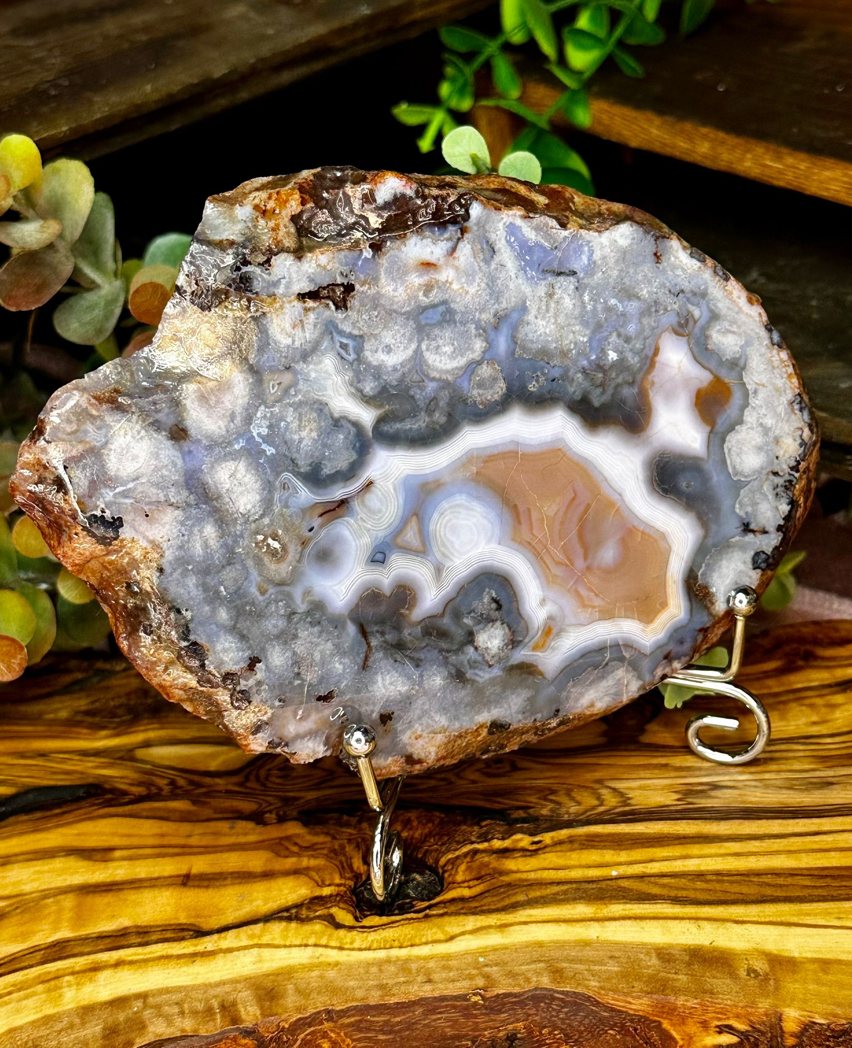 Large Blue Flower Agate Slab