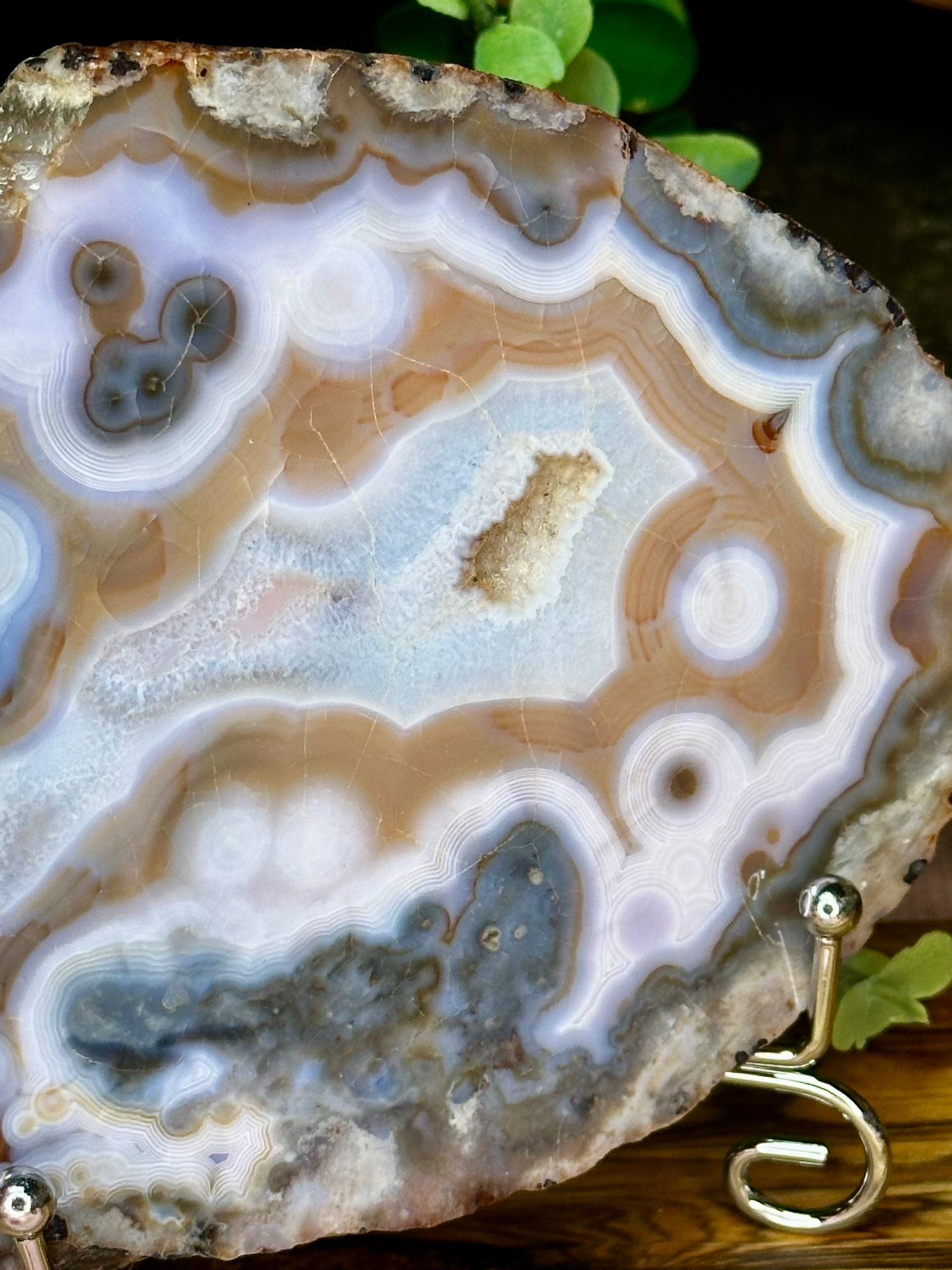 Large Blue Flower Agate Slab
