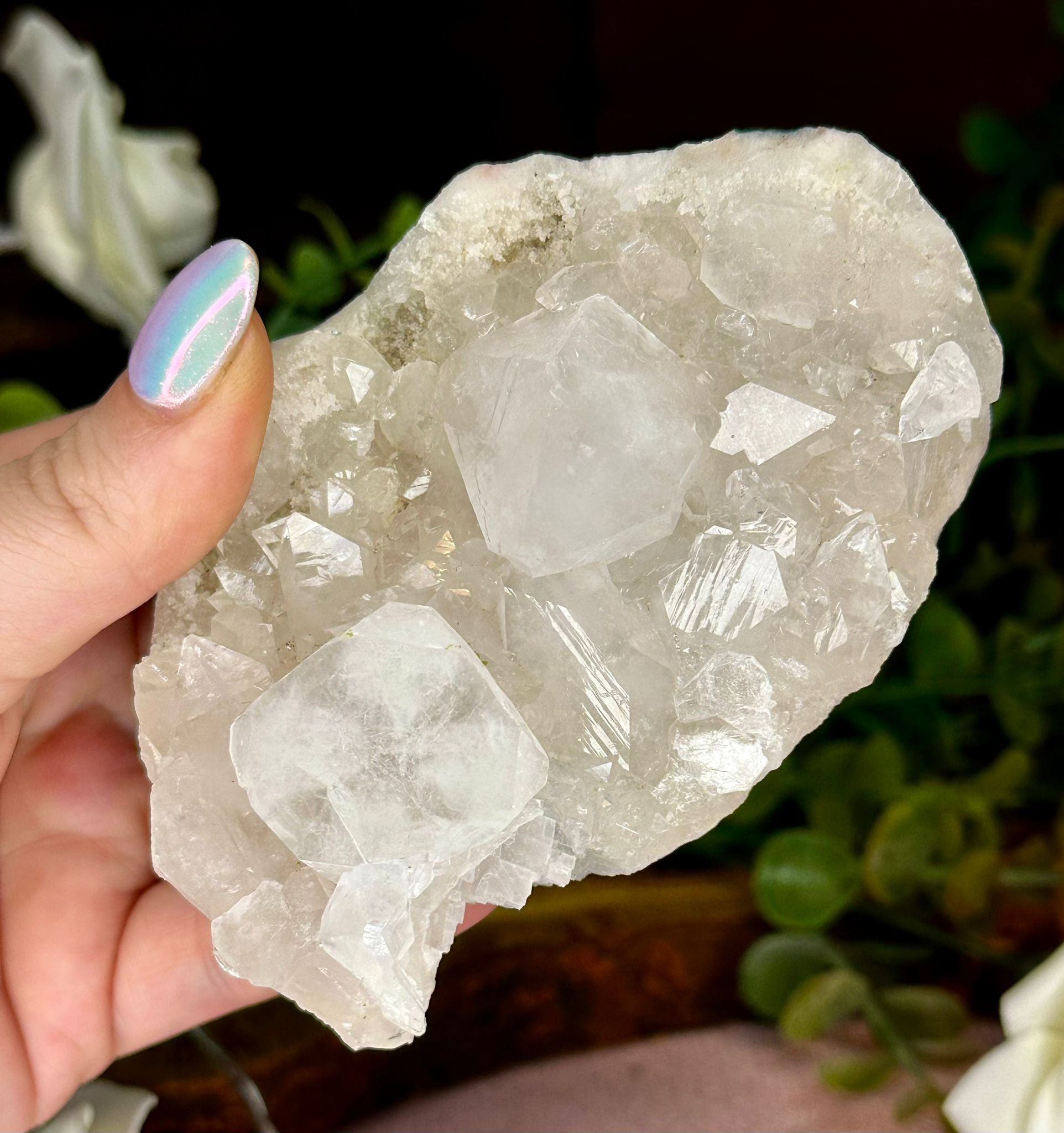 Natural Indian Apophyllite Crystal