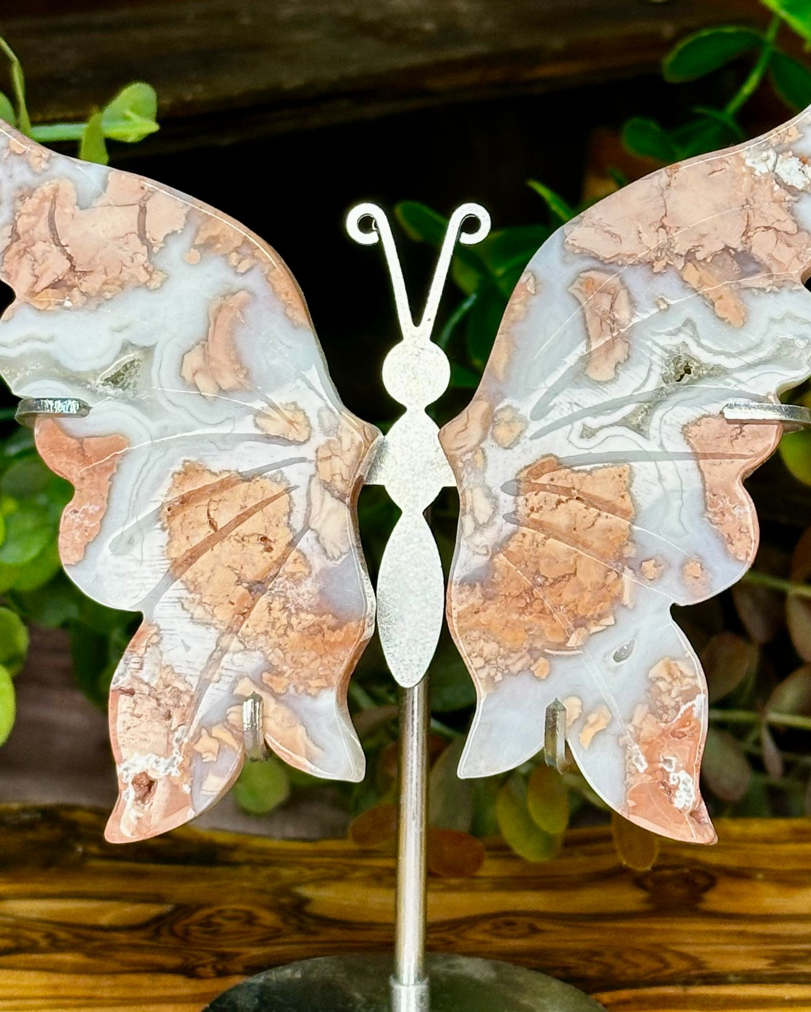 Pink Agate Druzy Butterfly Wings on Stand