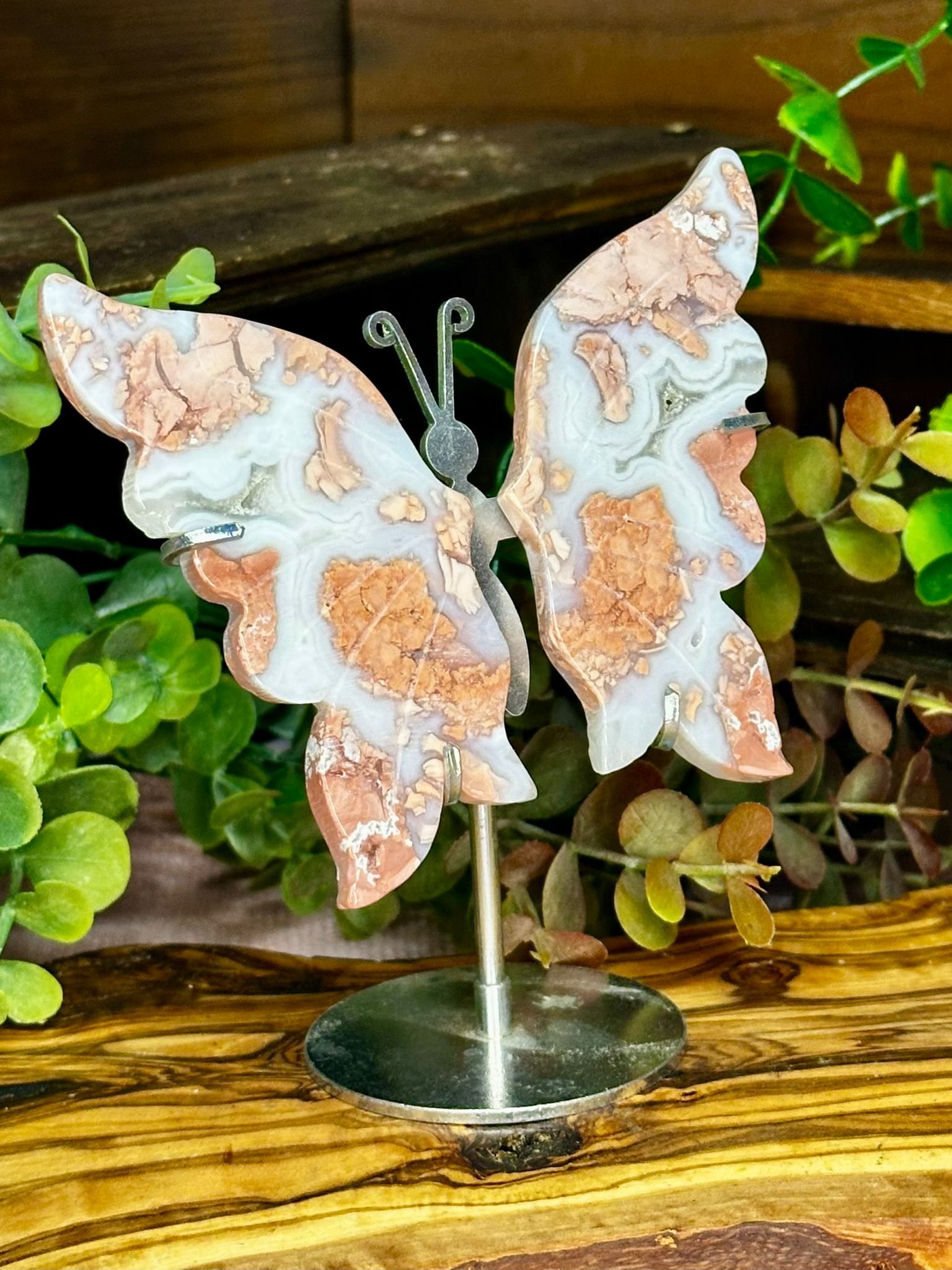 Pink Agate Druzy Butterfly Wings on Stand
