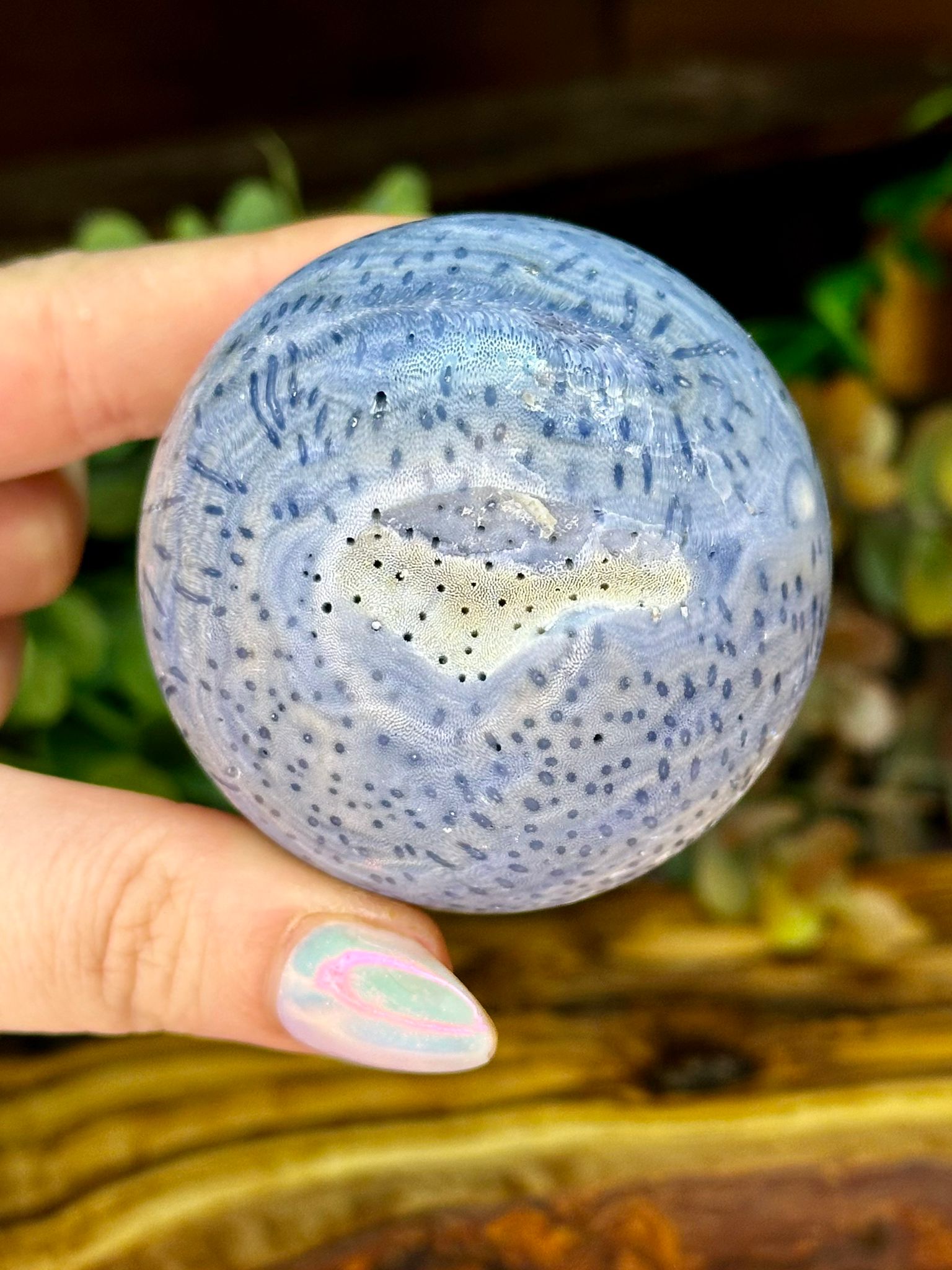 Blue Fossil Coral Sphere