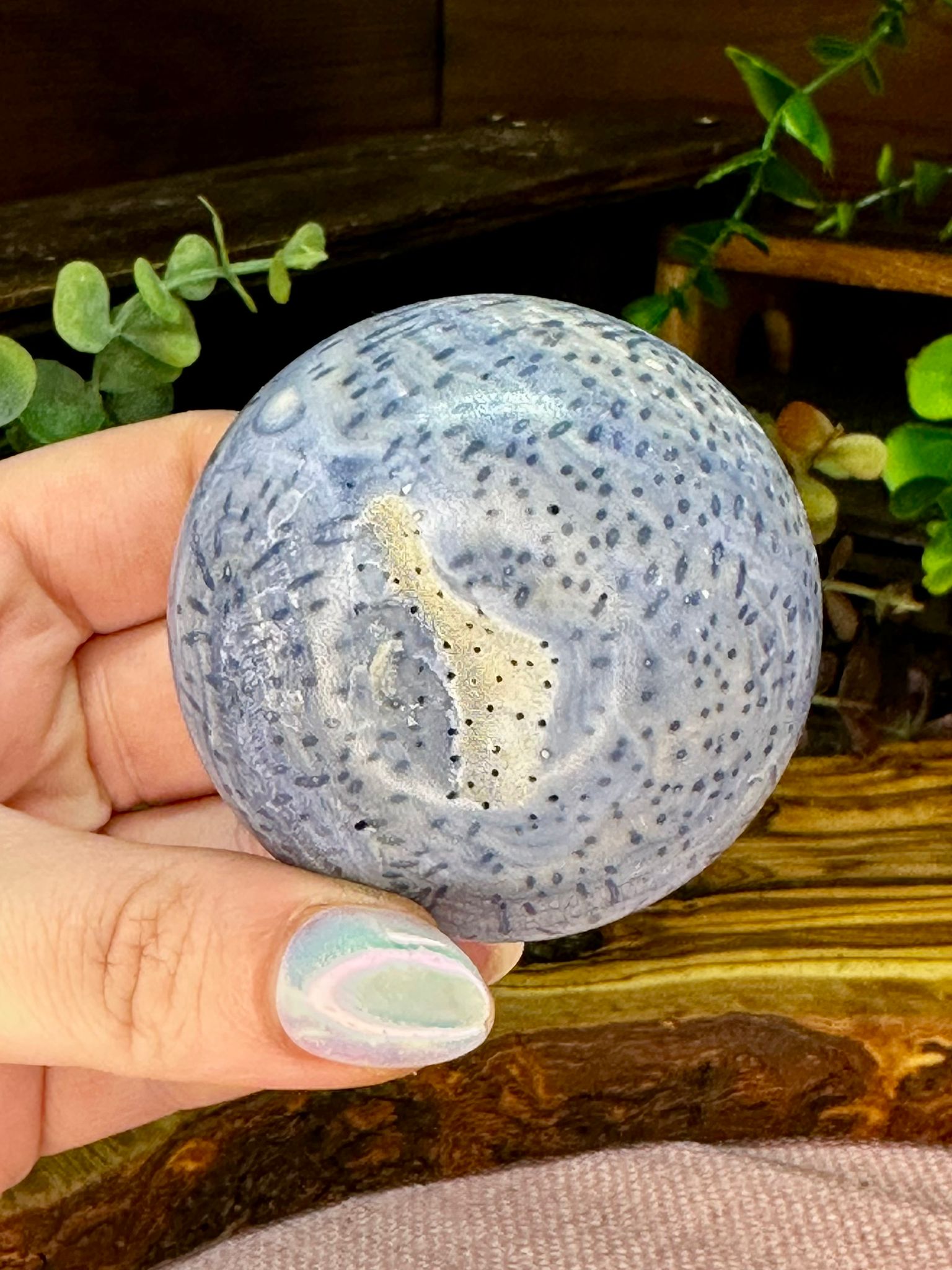 Blue Fossil Coral Sphere
