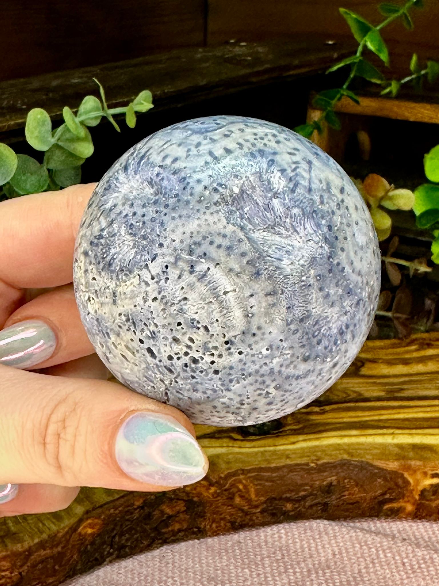 Blue Fossil Coral Sphere