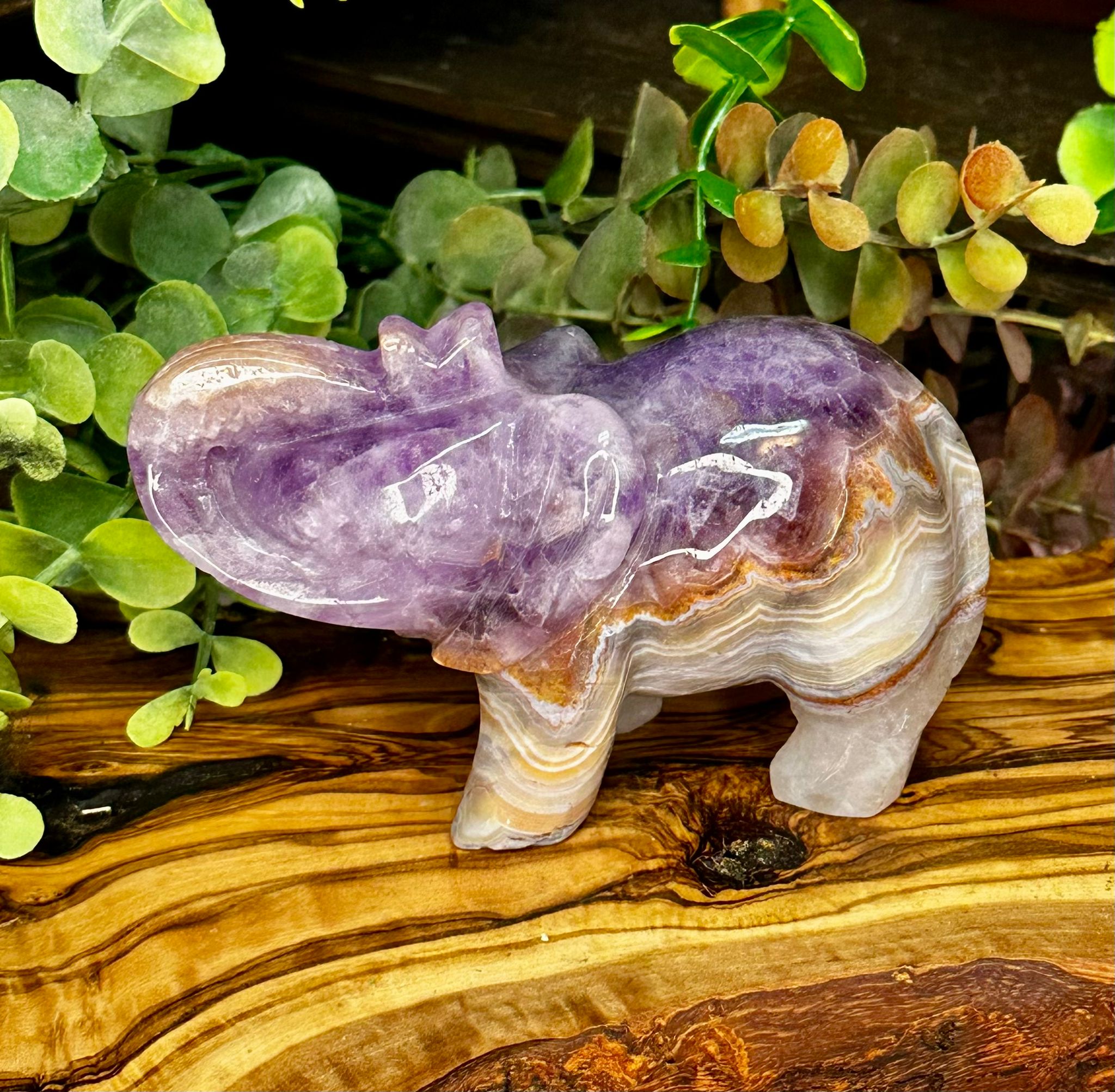 Amethyst & Mexican Lace Agate Elephant Carving