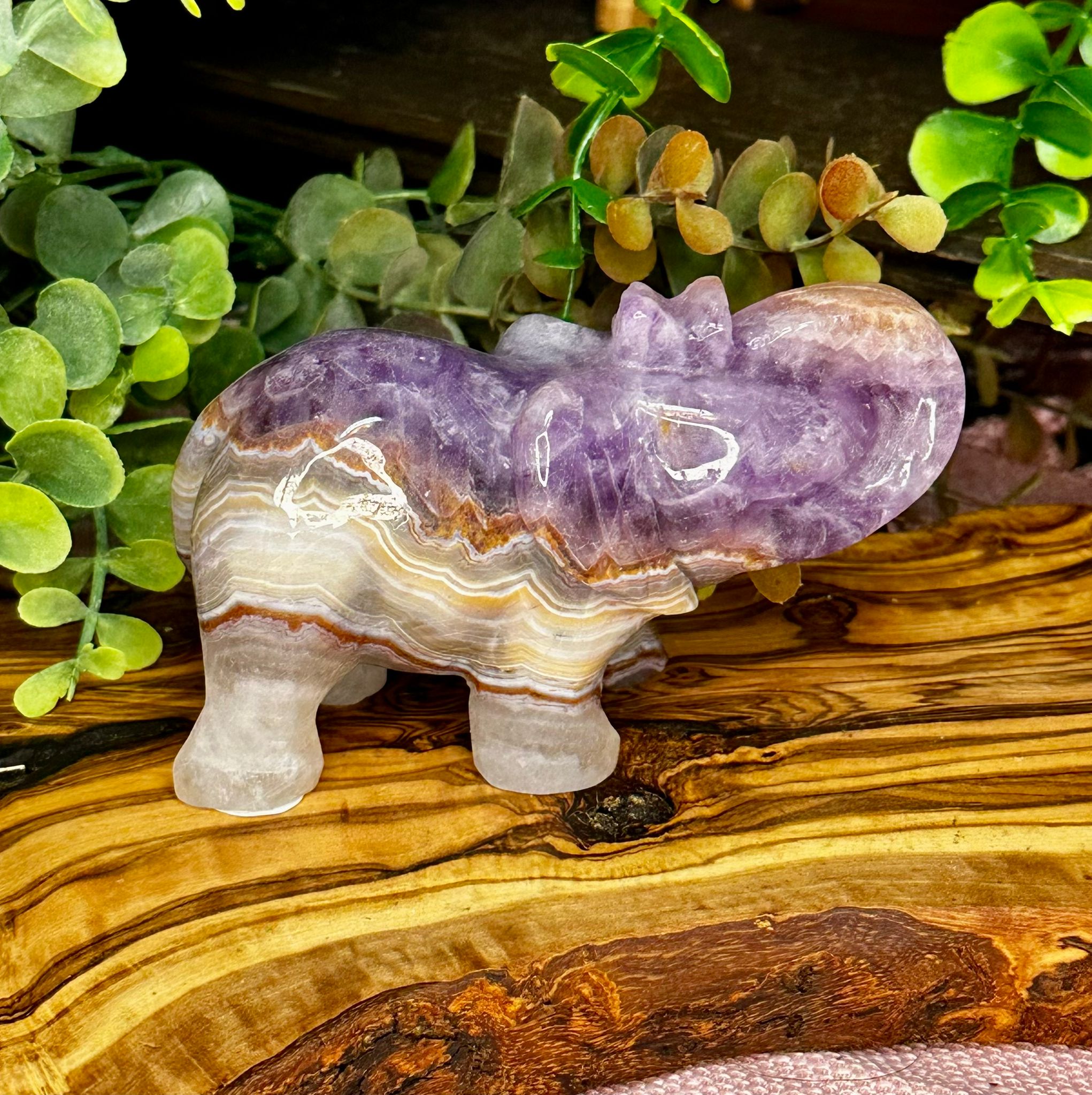 Amethyst & Mexican Lace Agate Elephant Carving