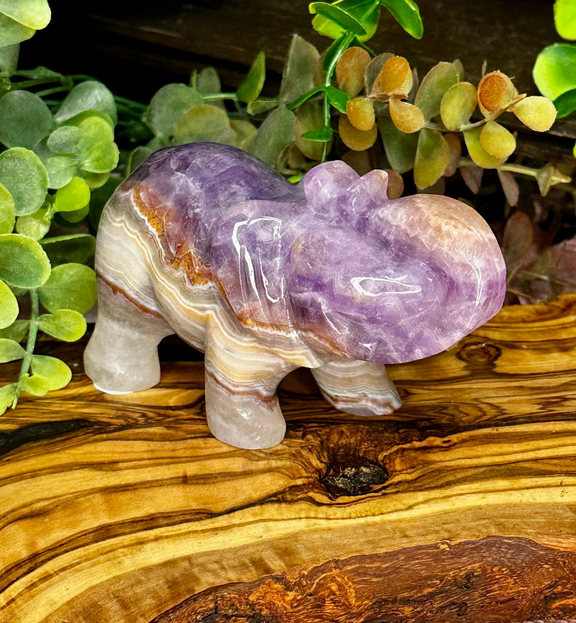 Amethyst & Mexican Lace Agate Elephant Carving